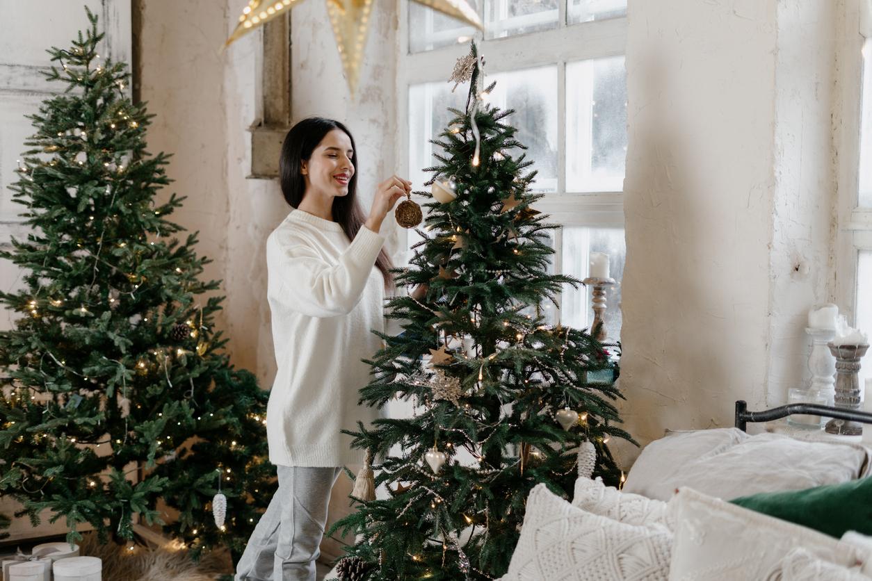 10 anni di esperienza: come scegliere un albero di Natale artificiale che non ti farà pentire — Arredo