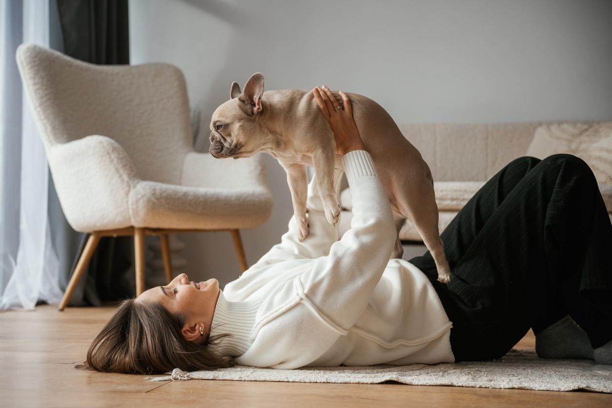 La science confirme ce que tout propriétaire sait : votre animal sent quand ça ne va pas — Famille