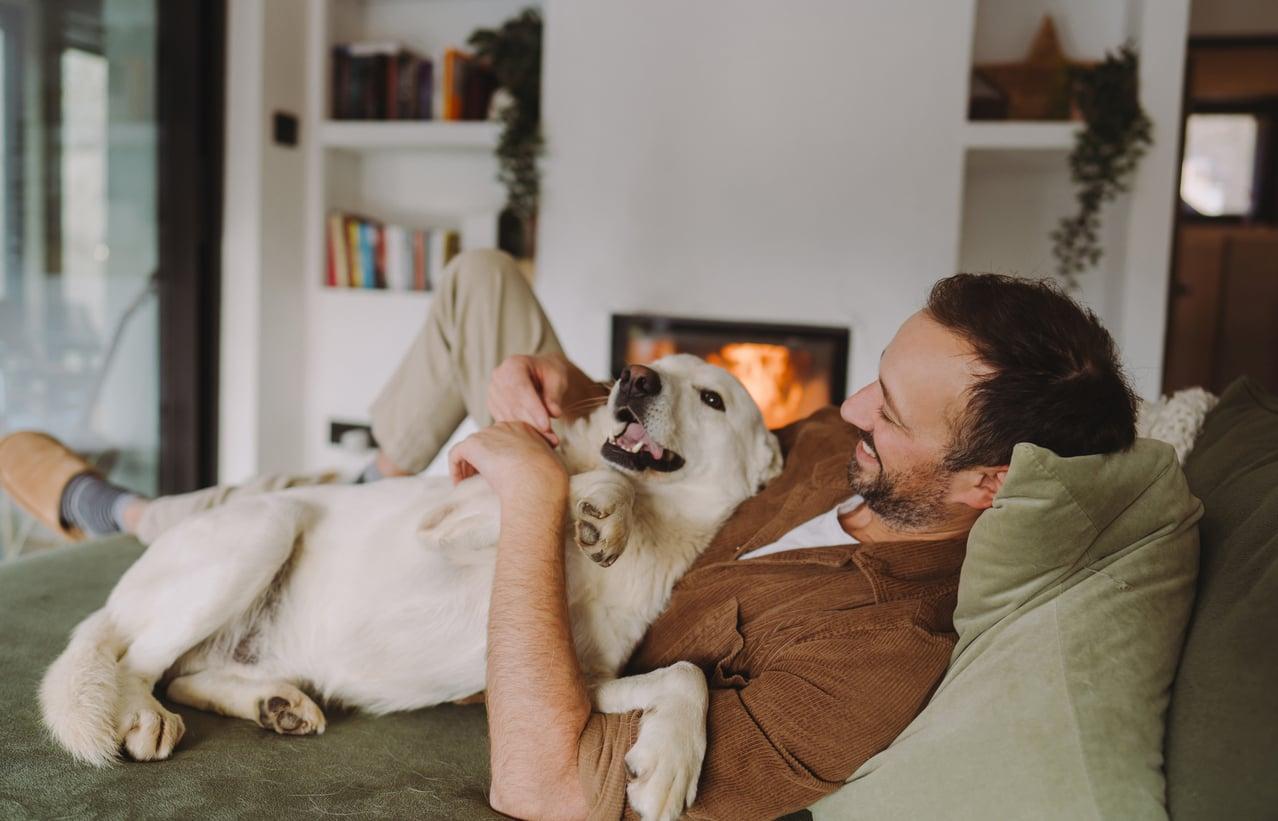 Dein Hund weiß schon vorher, wer wirklich zu dir passt, noch bevor du es merkst — Familie