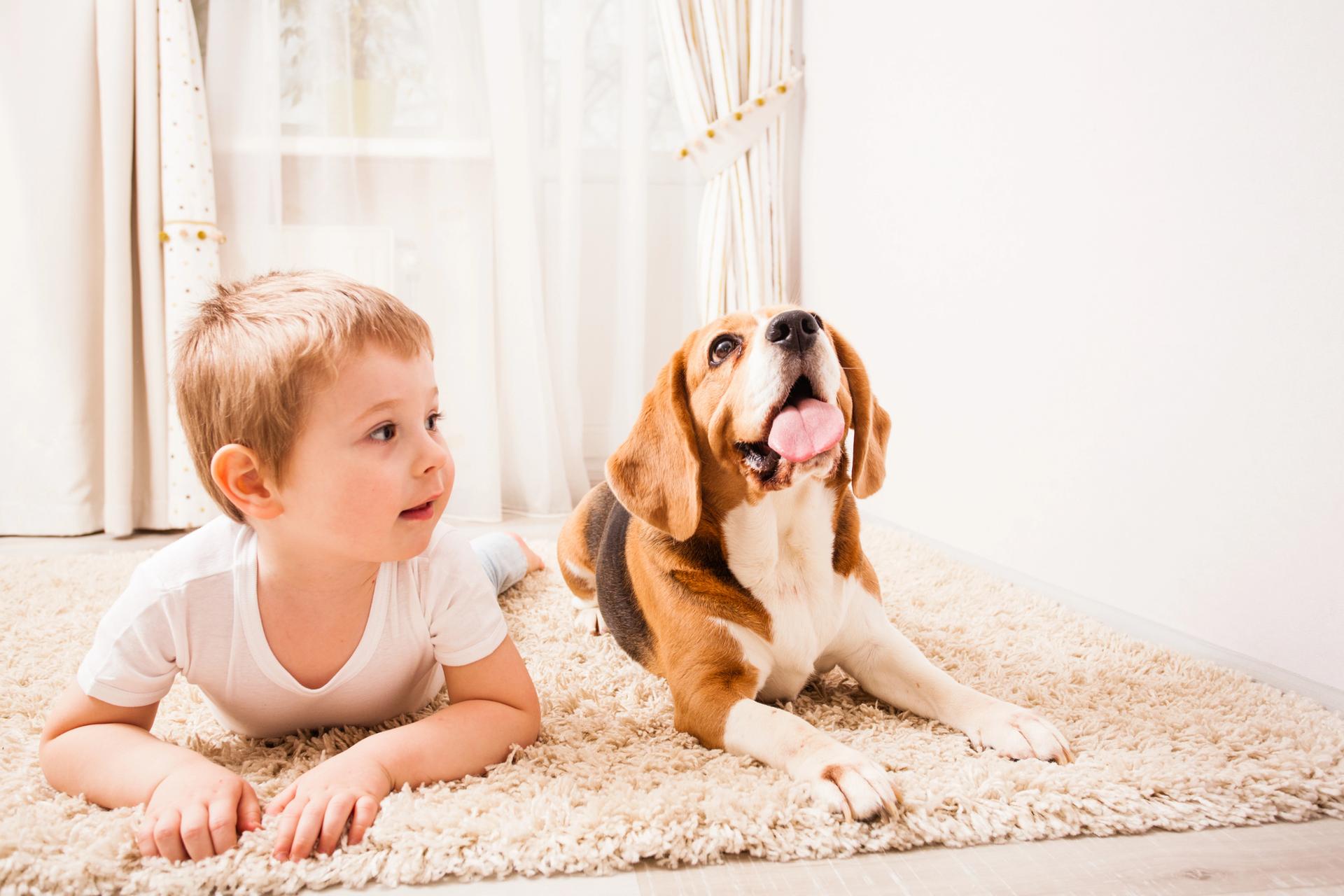 Il legame speciale tra cane e bambino: quando il pet diventa un vero supporto emotivo — Famiglia