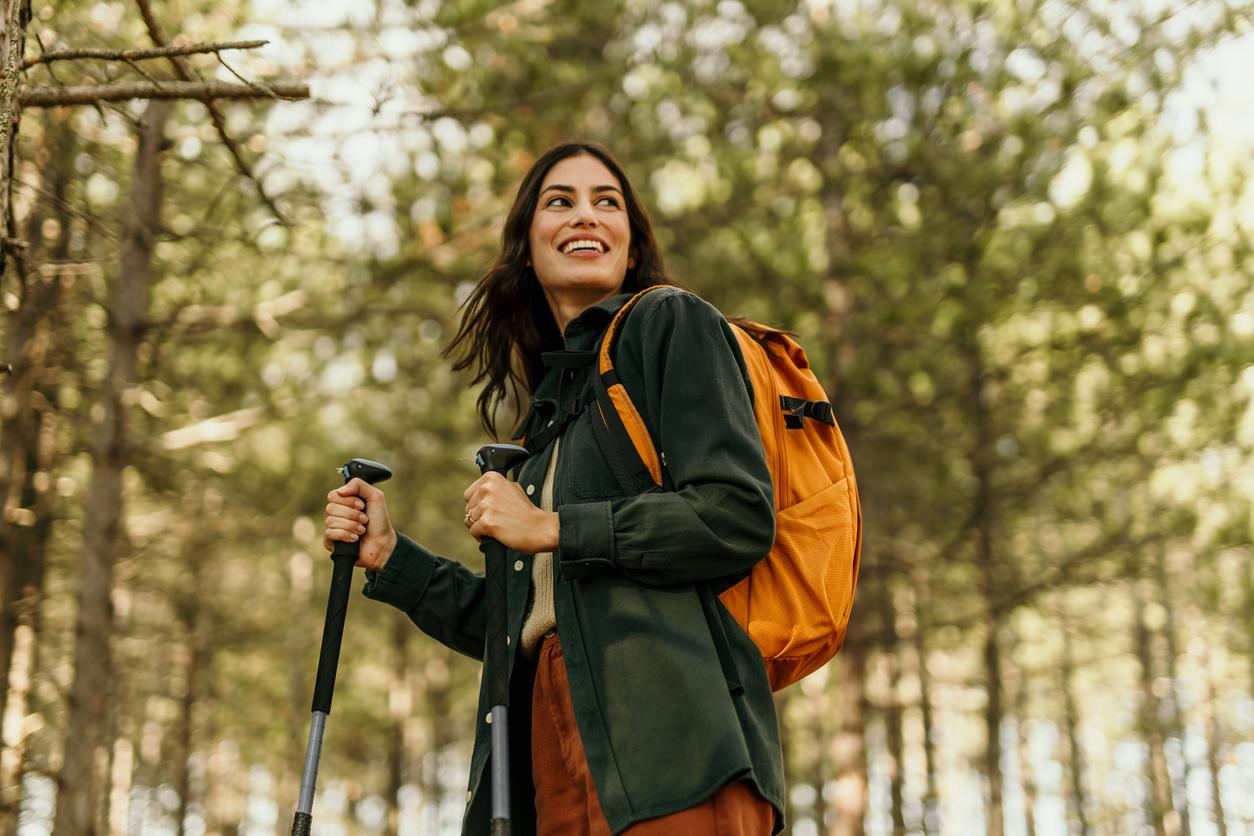 La forêt ne juge pas : pourquoi je crois plus aux balades en forêt qu’aux longues discussions — Santé