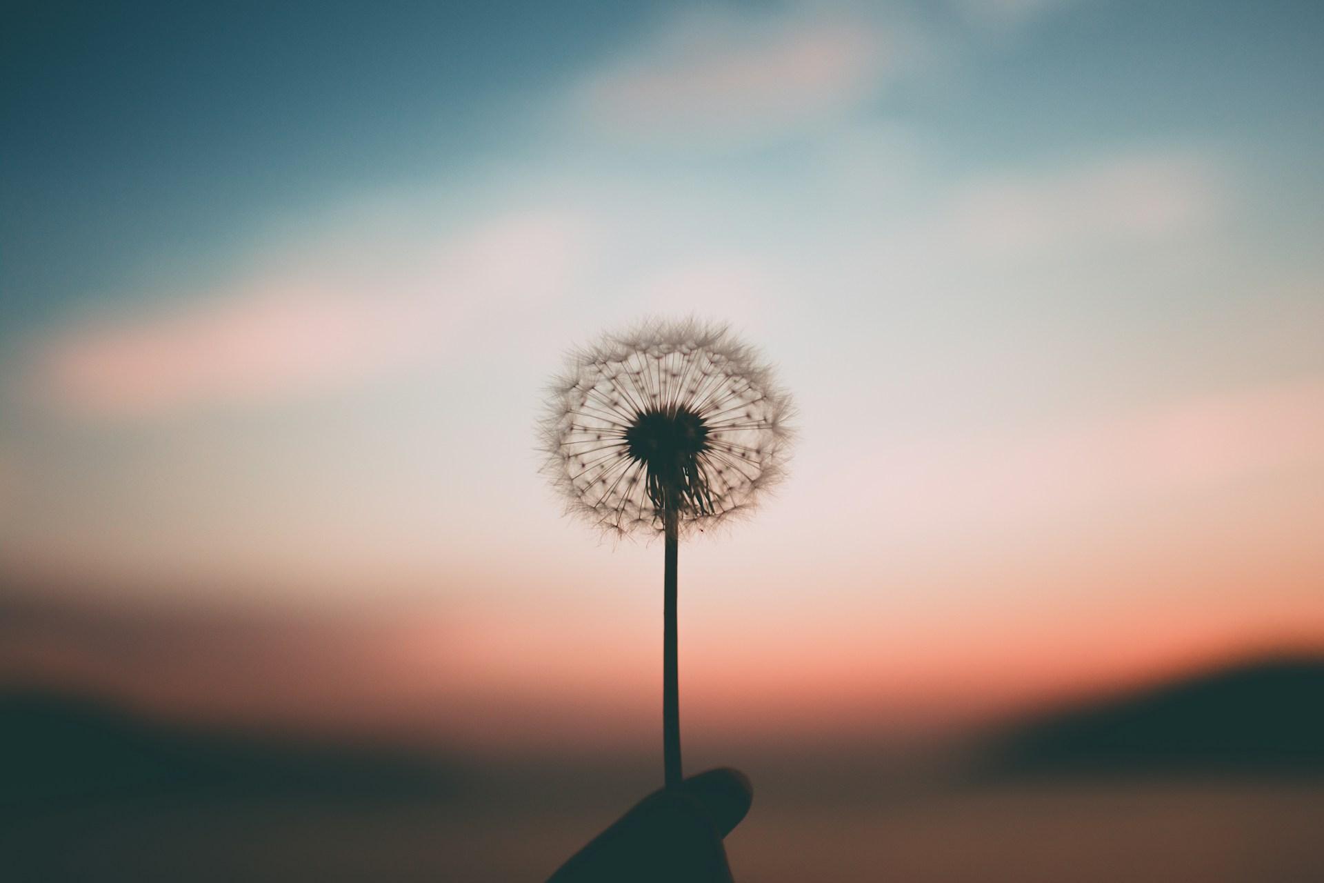 3 messaggi spirituali di Eckhart Tolle per ritrovare la tua pace interiore — Lifestyle