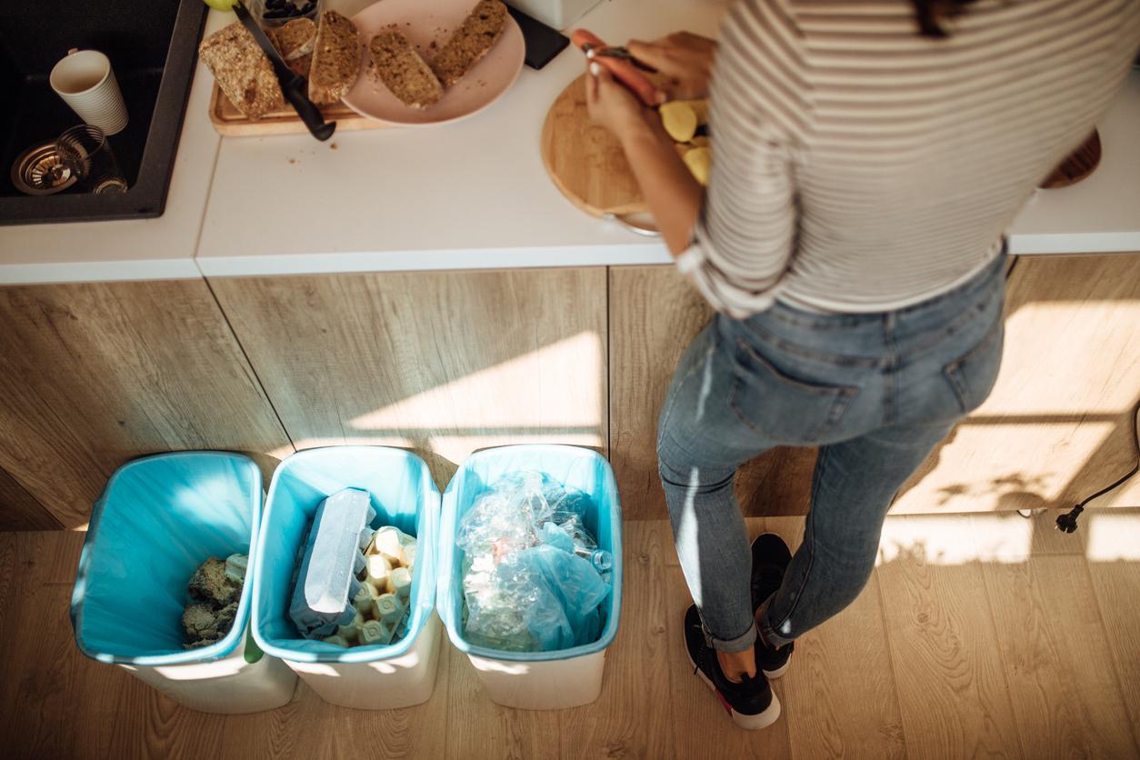5+1 soluzioni smart per nascondere il bidone della spazzatura in cucina senza rovinare l’armonia — Economia domestica