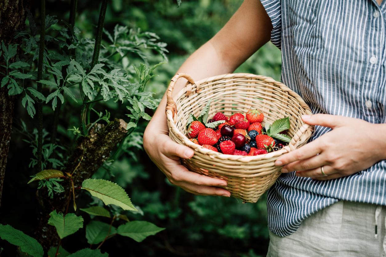 7 sapori primaverili che donano energia naturale al tuo corpo — Salute