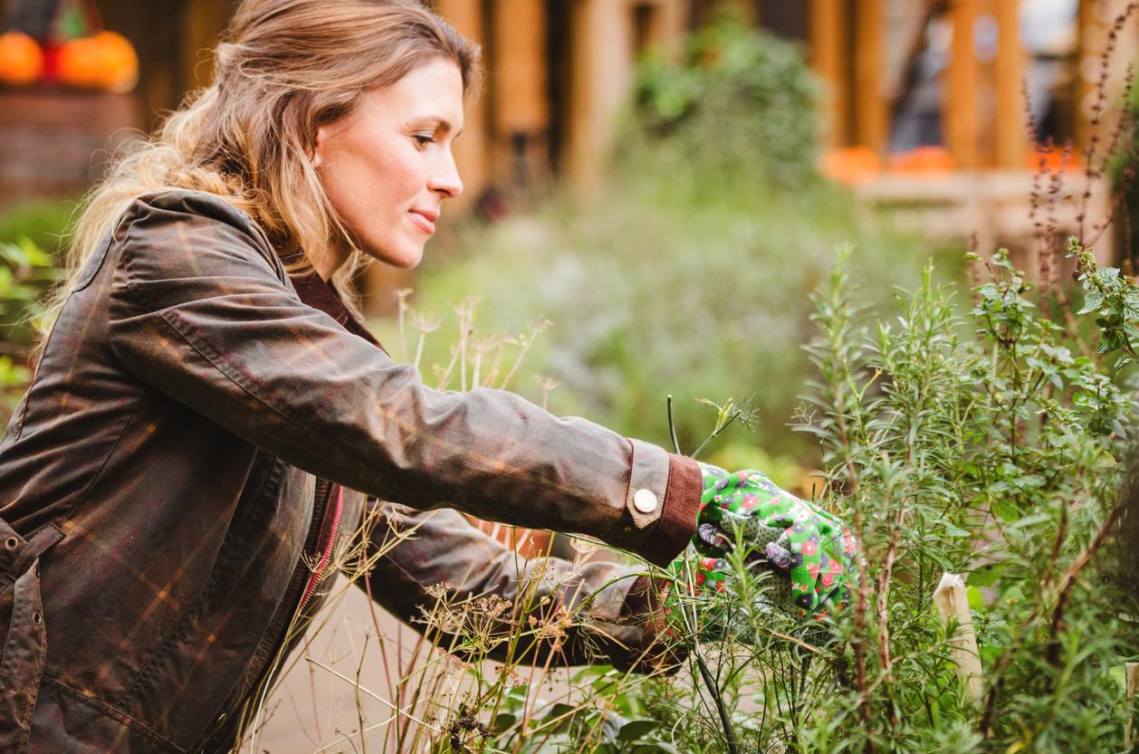 3 Gartenarbeiten, die du schon im Februar erledigen solltest — Garten & Terrasse