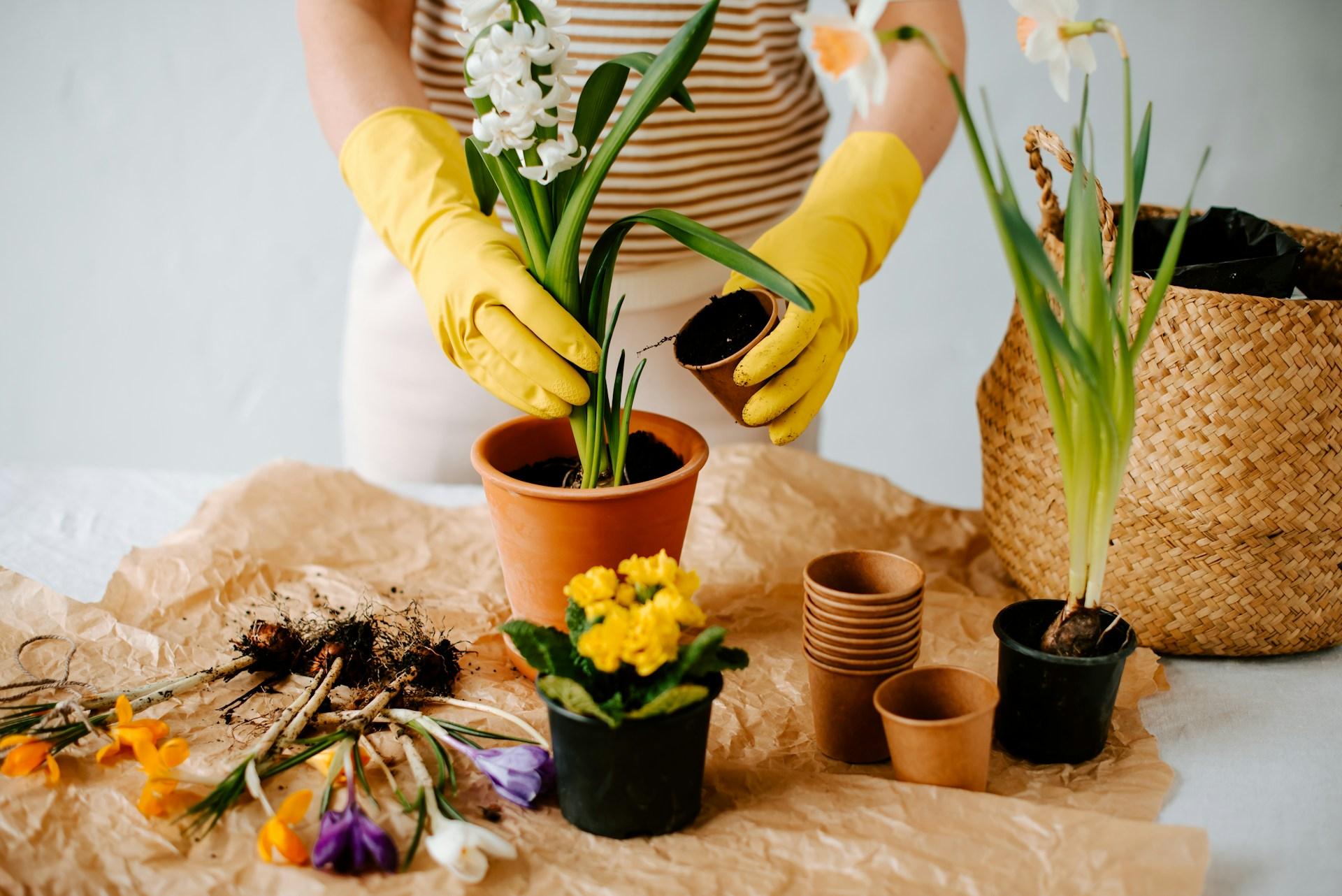 La frescura de la primavera en tu hogar: 7 ideas vibrantes de decoración para probar desde febrero — Decoración
