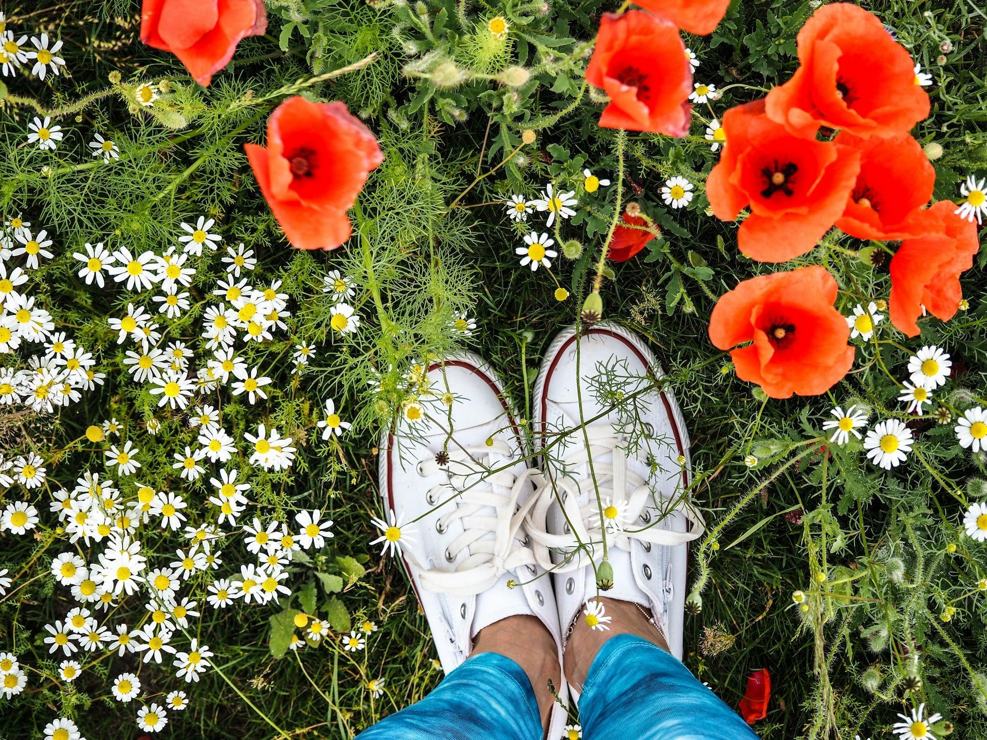 Queste tendenze sneaker dominano la stagione primaverile - afferra subito le tue preferite — Moda