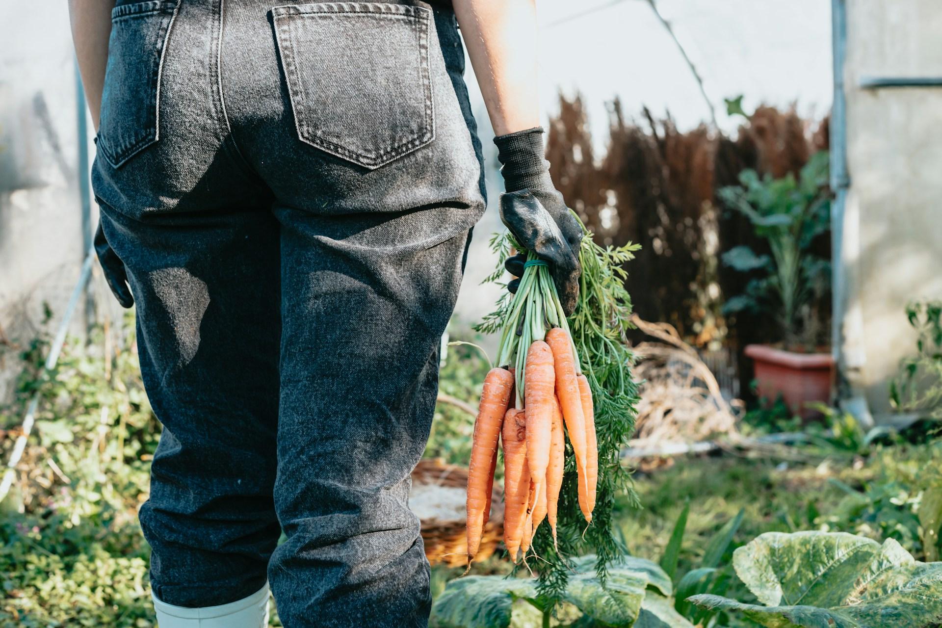 5 verdure primaverili deliziose da piantare già a marzo — Giardino e terrazza