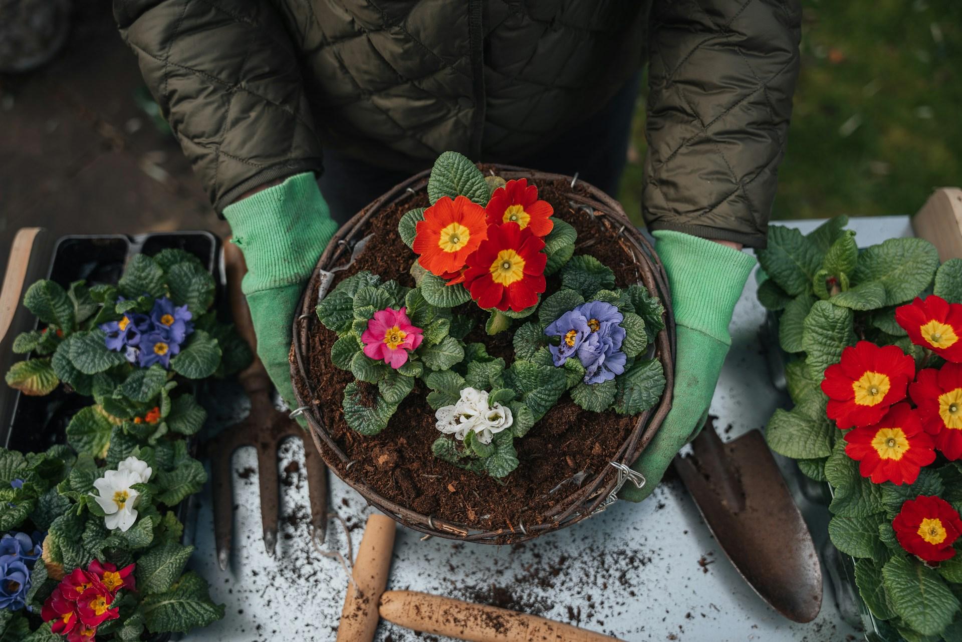 5+1 idee semplici ma d'effetto per trasformare il giardino in un weekend — Giardino e terrazza