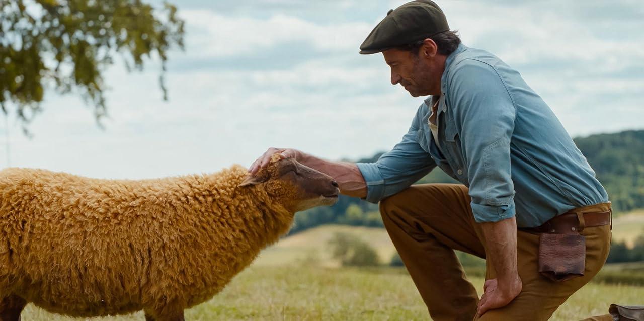 Crimen de ovejas: ovejas parlantes investigan en la nueva y emocionante película de Hugh Jackman — Ocio