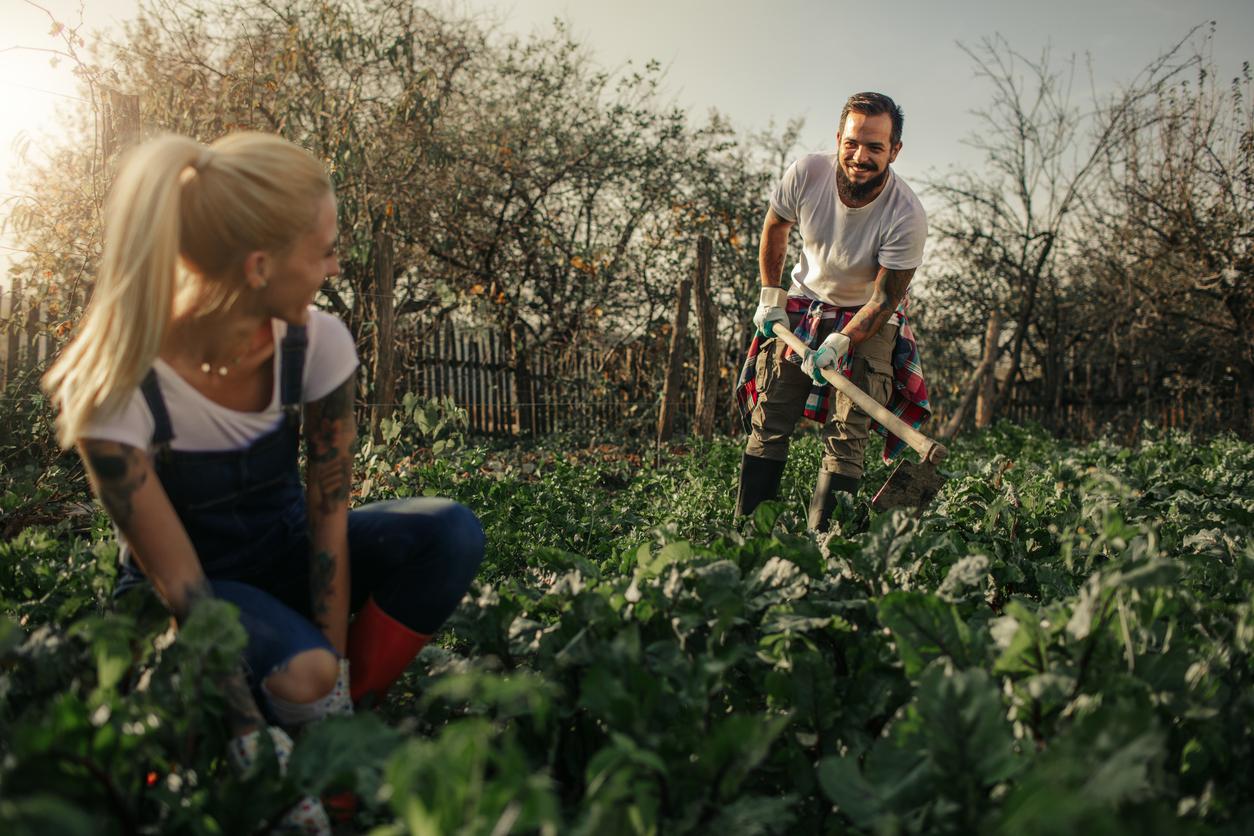 7 segnali che indicano che il tuo terreno ha bisogno di più microrganismi — Giardino e terrazza