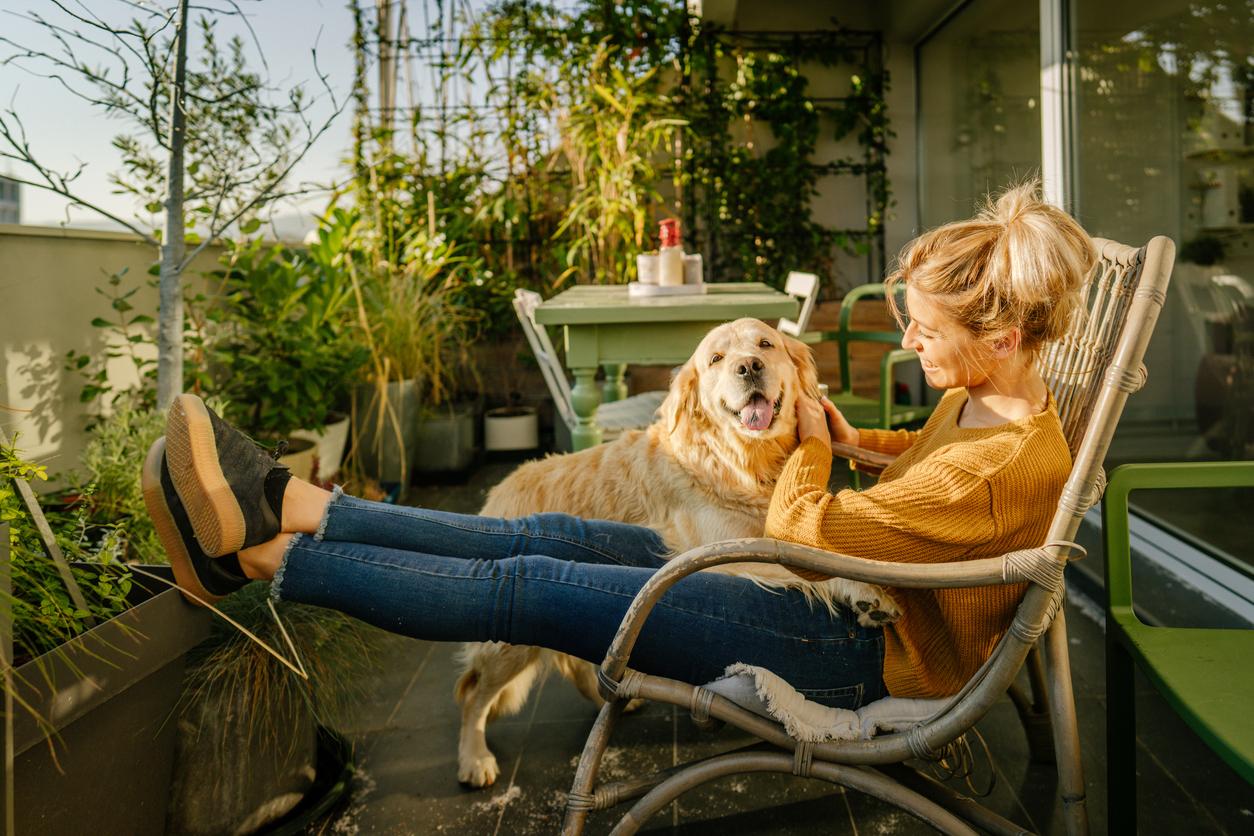 Horoscope du jour 6 mars 2026 : tu collabores avec aisance — Mode de vie