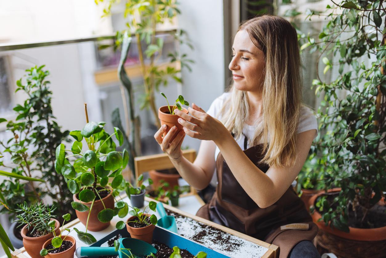 Giardinaggio sul balcone per principianti: le piante più sicure da coltivare — Hobby