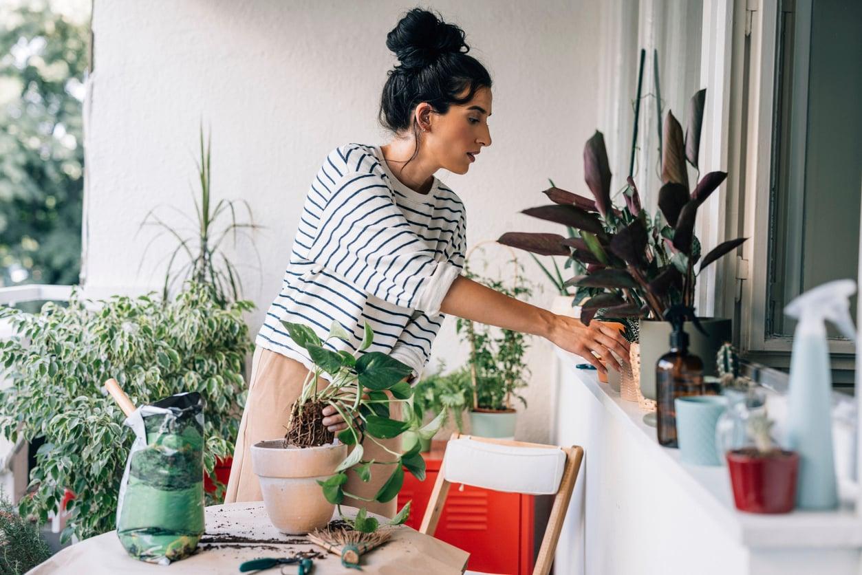 Le tue piante da balcone non crescono bene? 5 segnali che il terreno manca di nutrienti — Giardino e terrazza