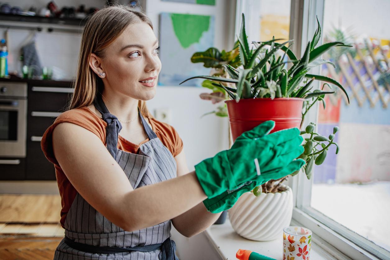 Das Geheimnis der wohlhabendsten Häuser ist nicht Geld – sondern Ordnung! 10 Tricks für dauerhaft aufgeräumte Wohnungen — Deko