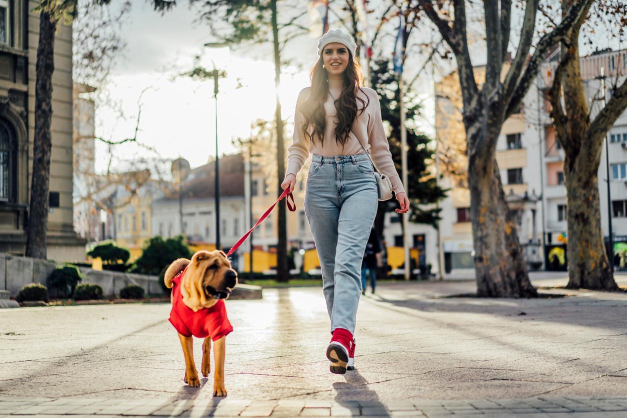 Un anno di cane corrisponde davvero a sette anni umani? I 6 miti più comuni sui cani, sfatati — Famiglia