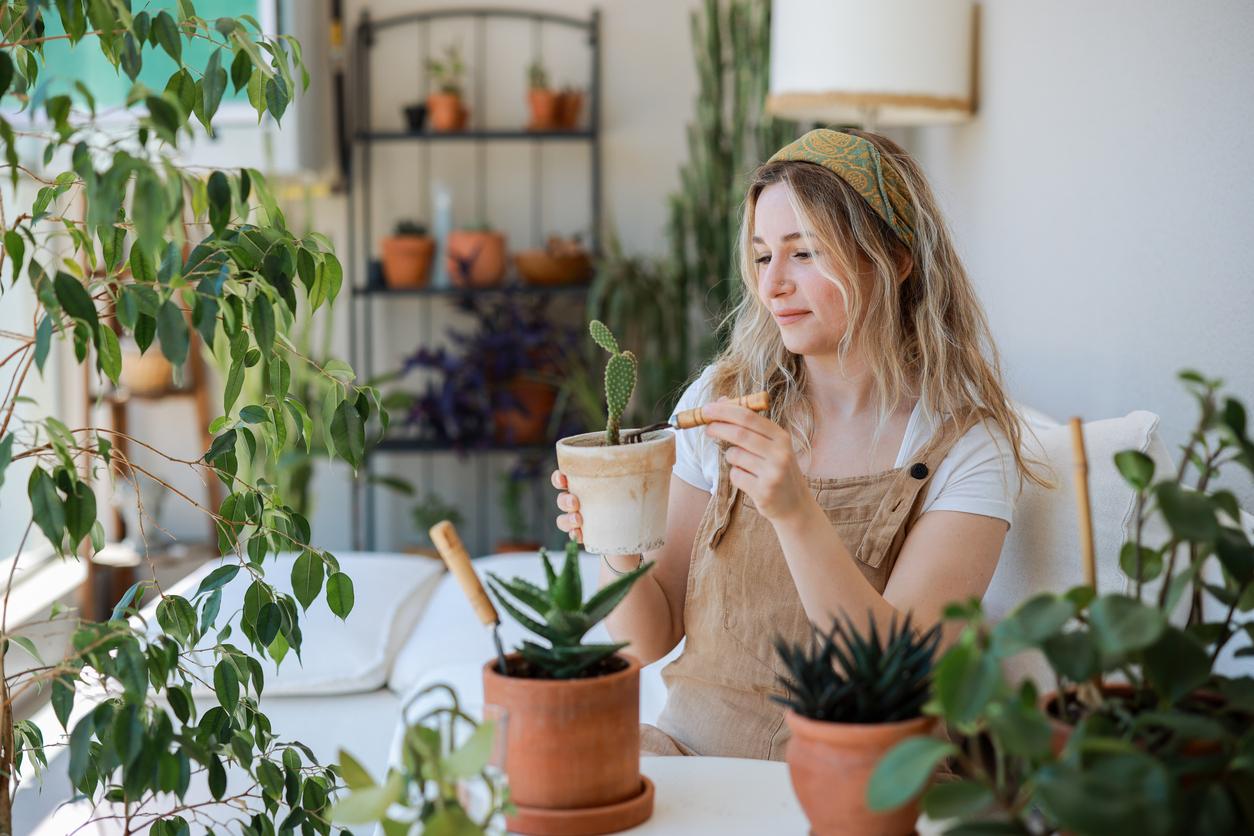 7 fiori bellissimi che fioriscono a lungo con poca cura — Arredo