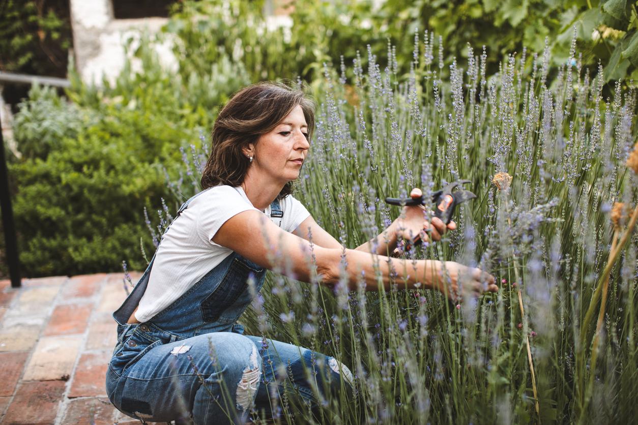 5+1 piante bellissime per un giardino dall’atmosfera naturale — Giardino e terrazza