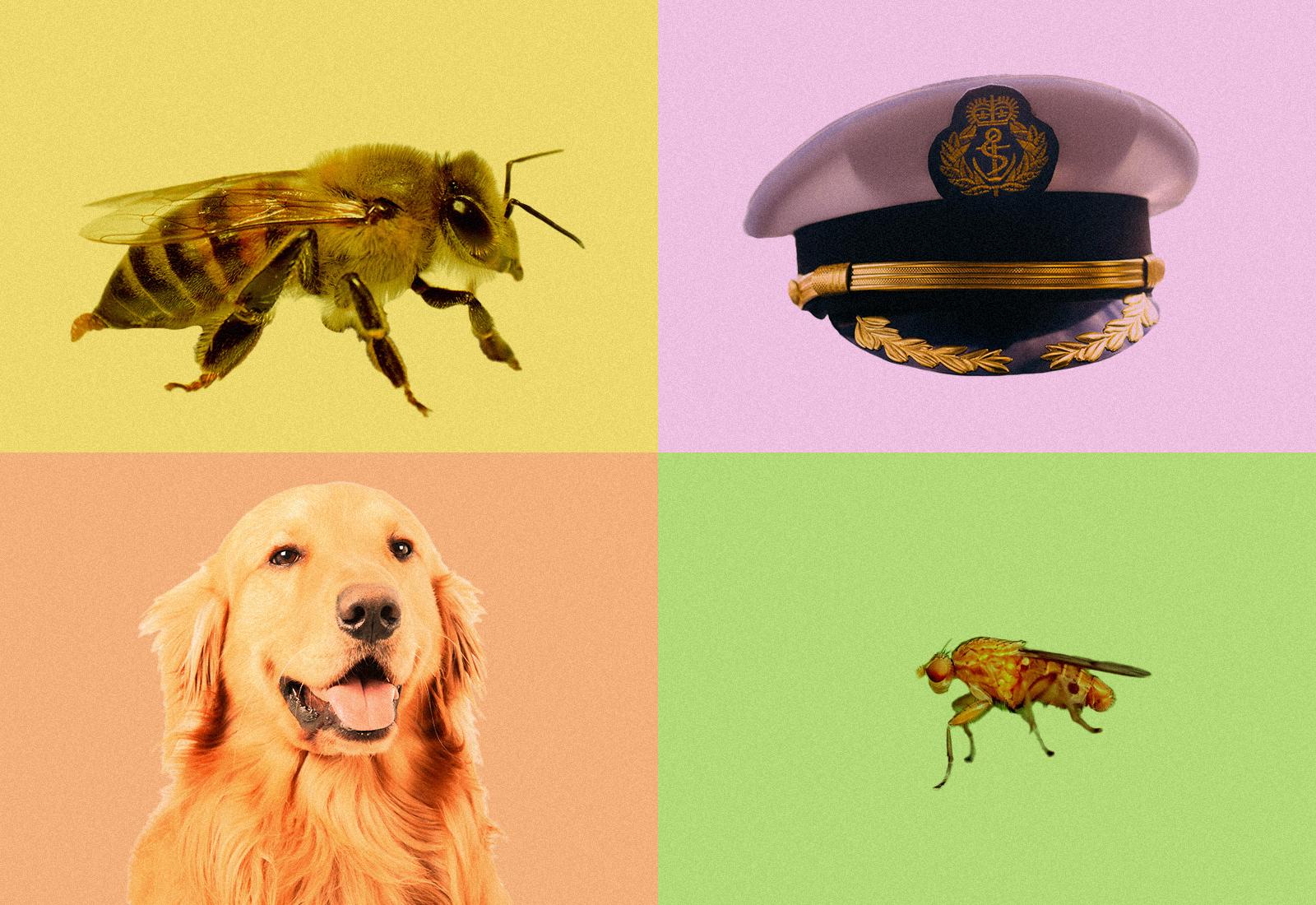 Cuatro tipos de amigos según sus planes: ¿cuál eres tú? — Estilo de vida