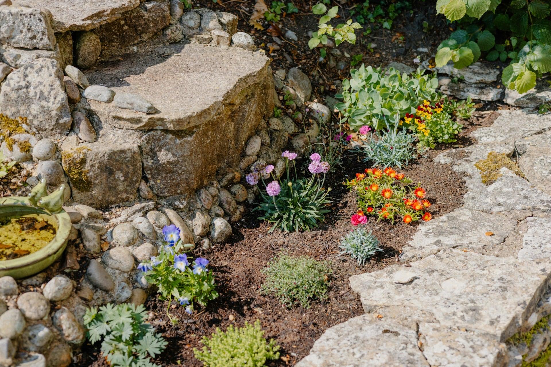 10 bunte Steingartenpflanzen, die auch in schlechtem Boden gedeihen und herrlich aussehen — Garten & Terrasse