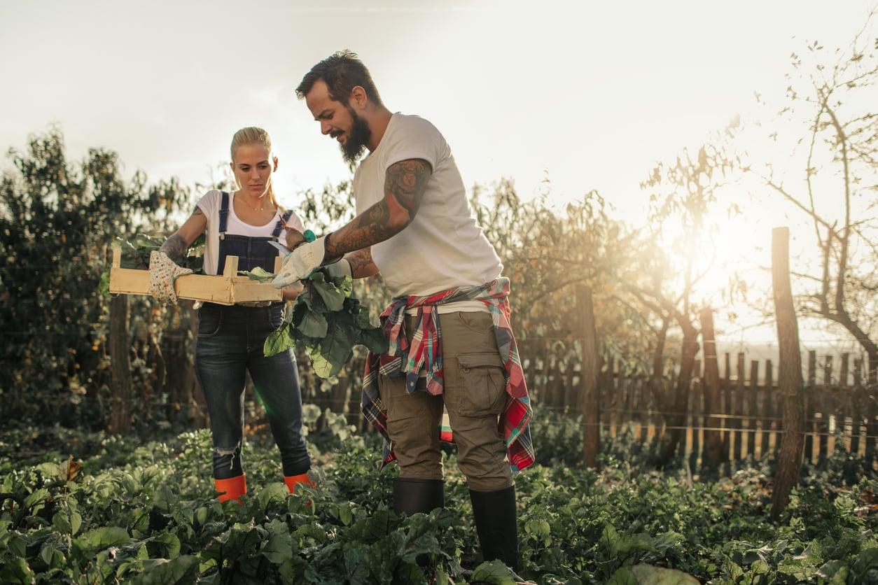 5 Dinge, die du bis Mai im Garten erledigen solltest für eine reiche Ernte — Garten & Terrasse