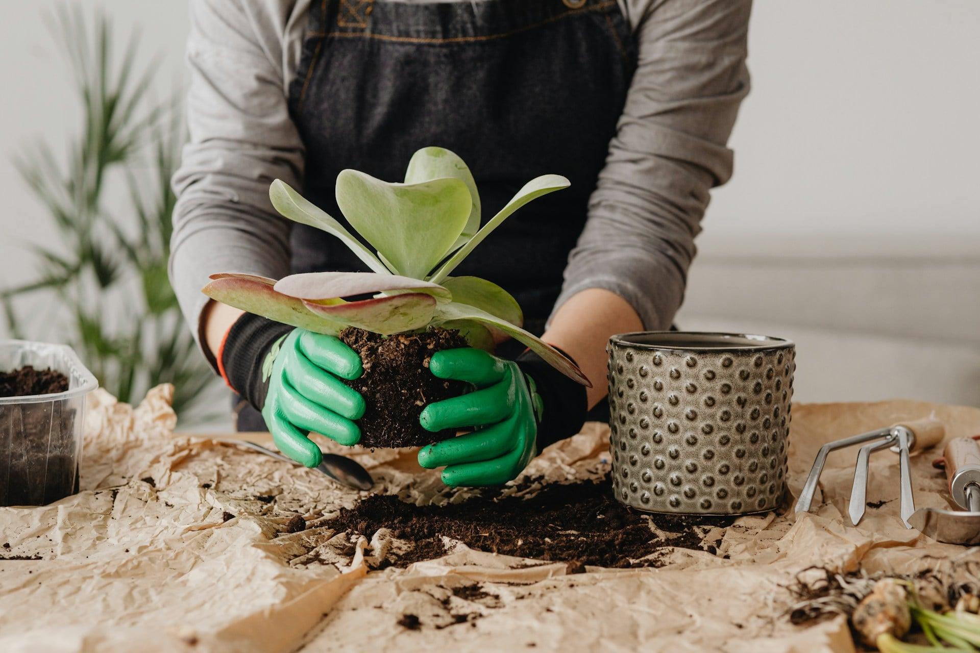 5 idee trendy per piantare fiori che daranno subito vita alla tua casa — Arredo