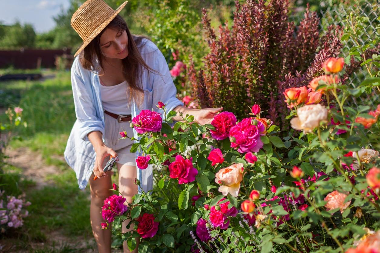 Diese Gartenaufgaben im Juni entscheiden, wie dein Garten den ganzen Sommer aussieht — Garten & Terrasse