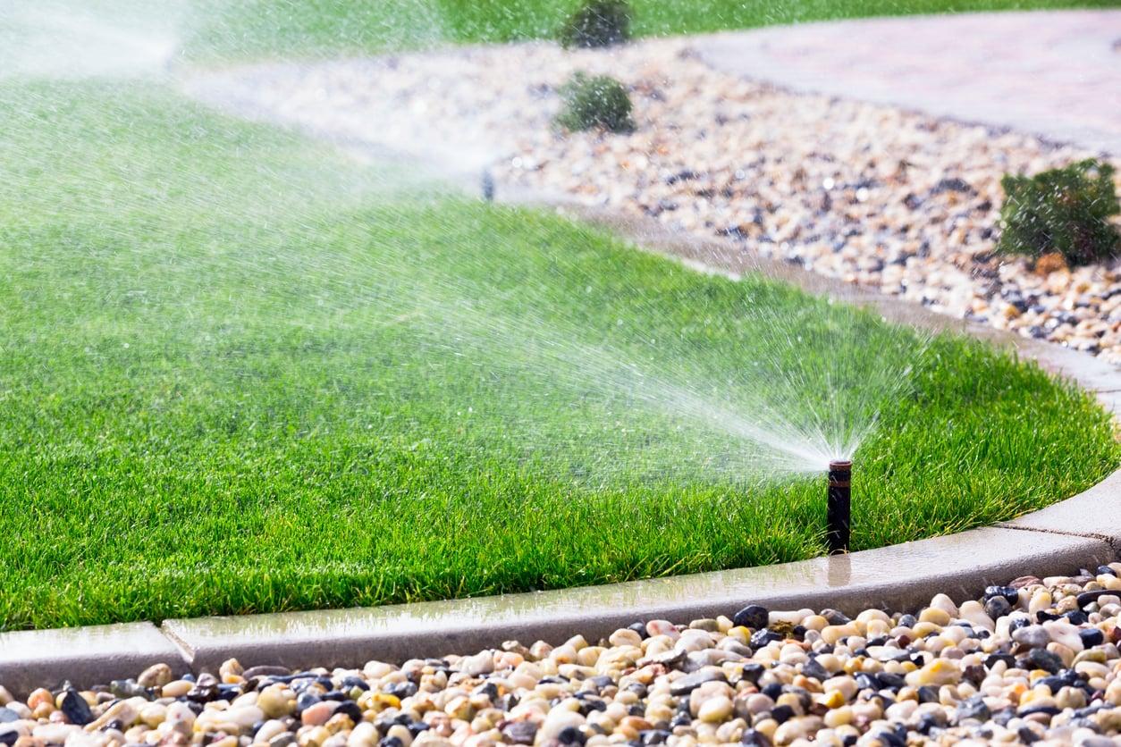 3 errores de riego que están quemando tu césped este verano — Jardín y terraza