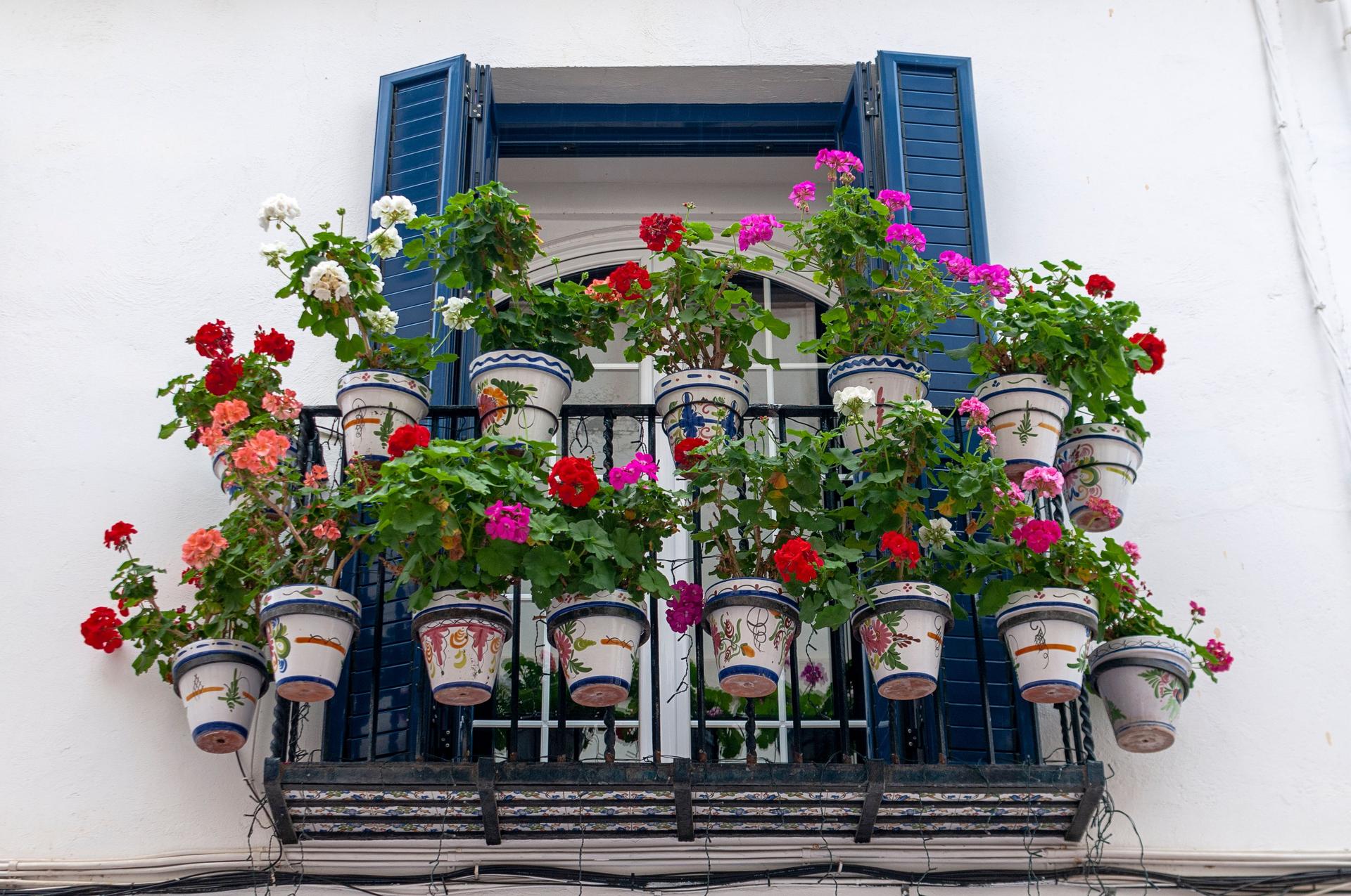 20 Balkonpflanzen, die auch ohne tägliches Gießen den Hochsommer überstehen — Garten & Terrasse