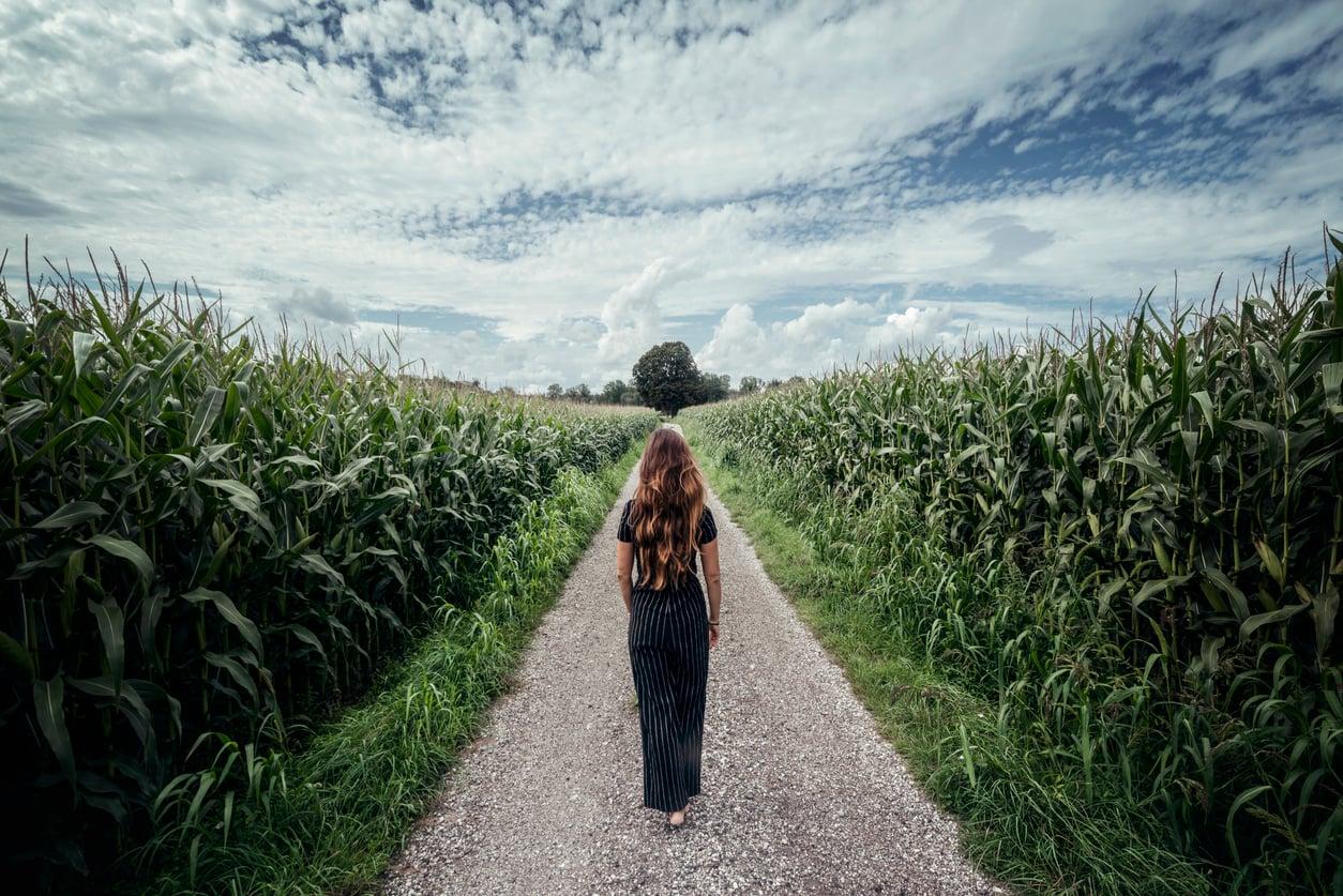Pick a path and I'll tell you who you really are — Lifestyle