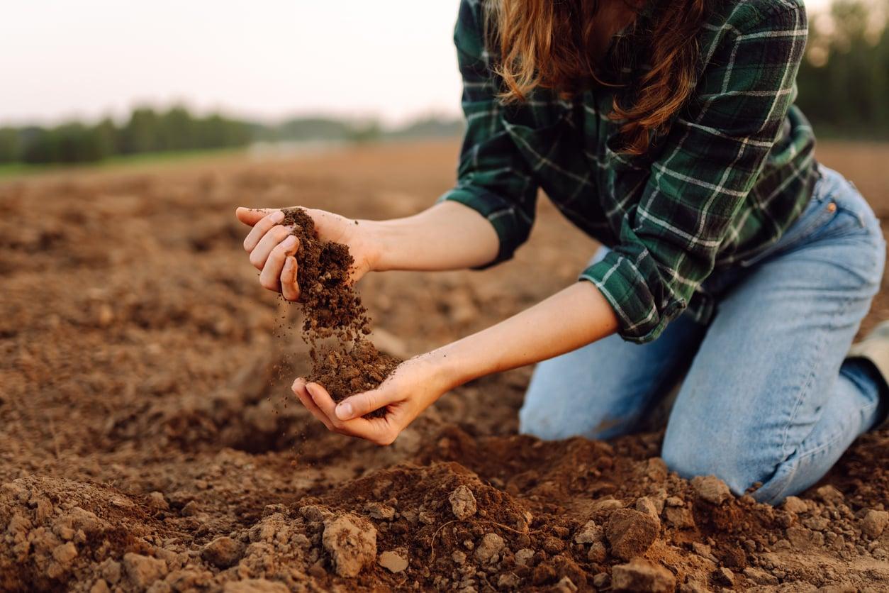 Arrosez trois fois moins : l'astuce des jardiniers paresseux qui change tout — Jardin et terrasse