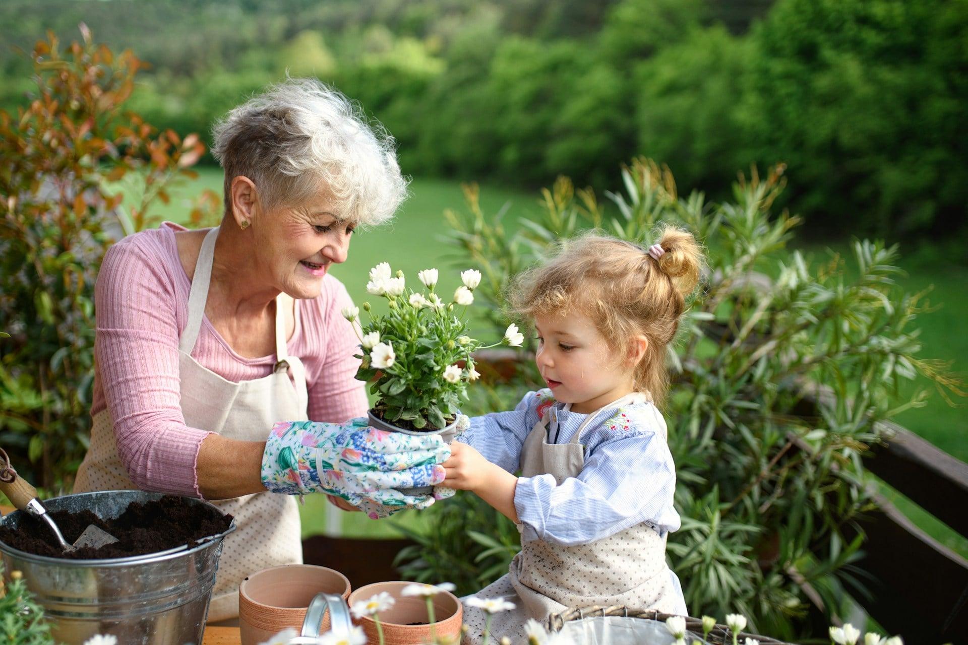 The one sentence my grandmother said every summer that stayed with me for years — Family
