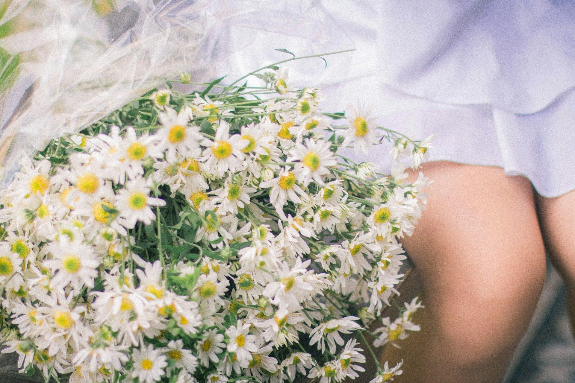 Pick These 5 Herbs Now and You'll Have a Homemade Tea Cabinet All Winter — Health