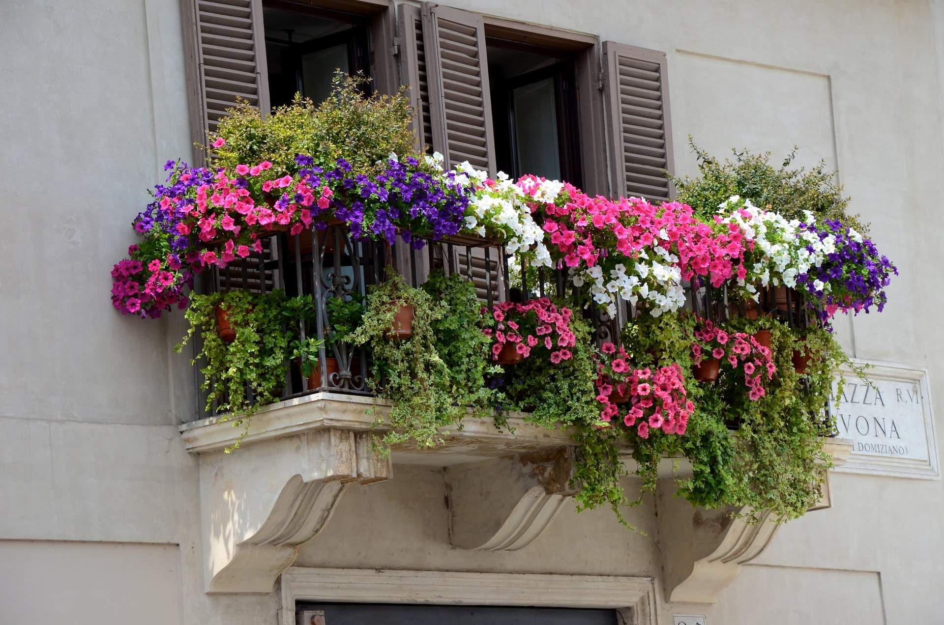 ¡Llena tu terraza de flores! 7 hermosas plantas de balcón coloridas — Jardín y terraza