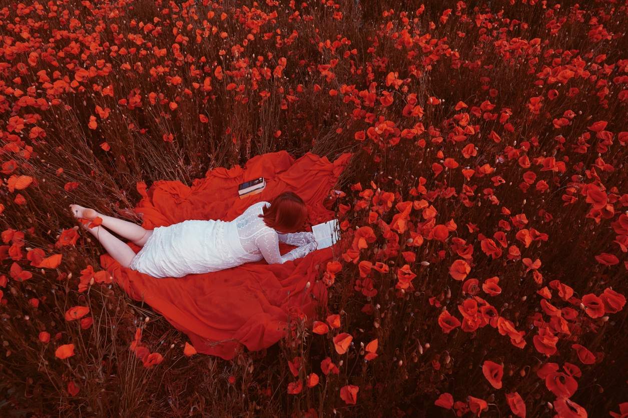 I miei 5 romanzi rosa preferiti di quest’anno: rendi anche la tua estate più dolce! — Tempo libero