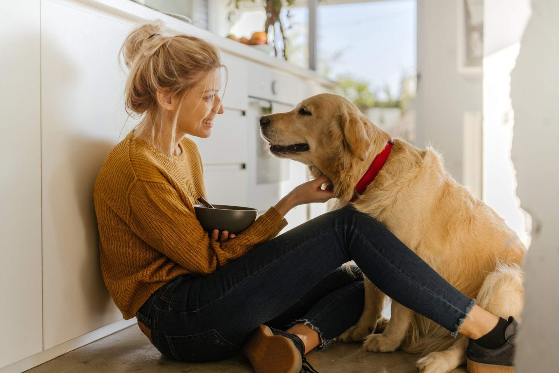 Así puedes alargar la vida de tu mascota - 4 cosas a las que debes prestar atención — Familia