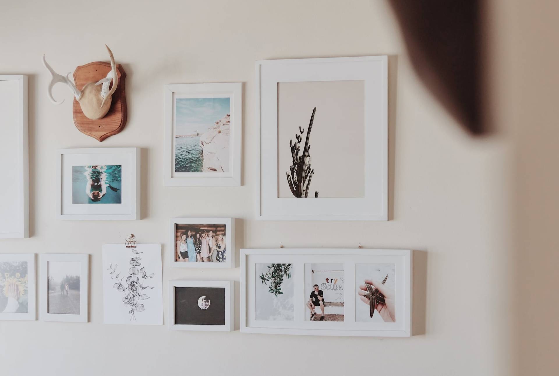 8 fantastici webshop dove acquistare bellissime stampe da parete
