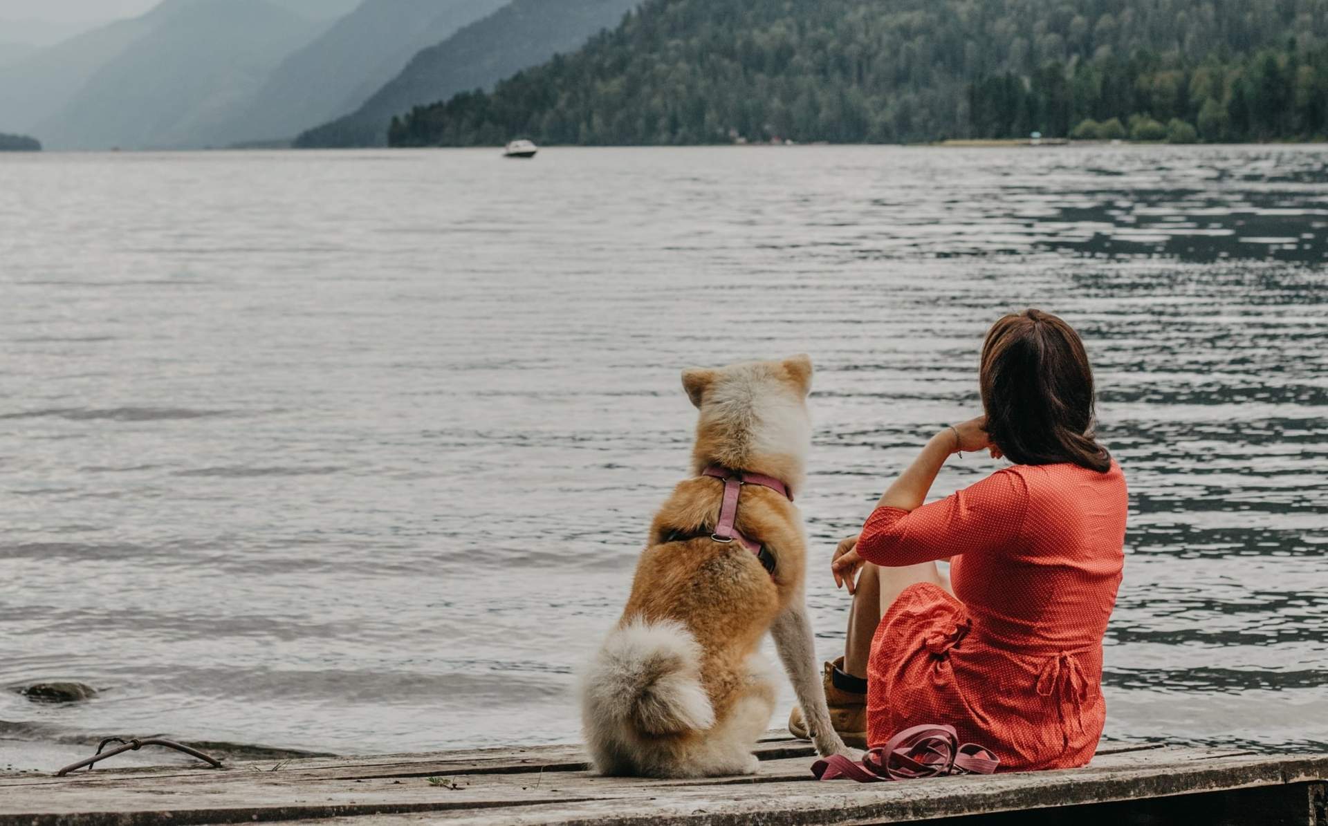 Pourquoi cela m’arrive-t-il encore ? La réponse est plus simple que tu ne le penses ! — Mode de vie