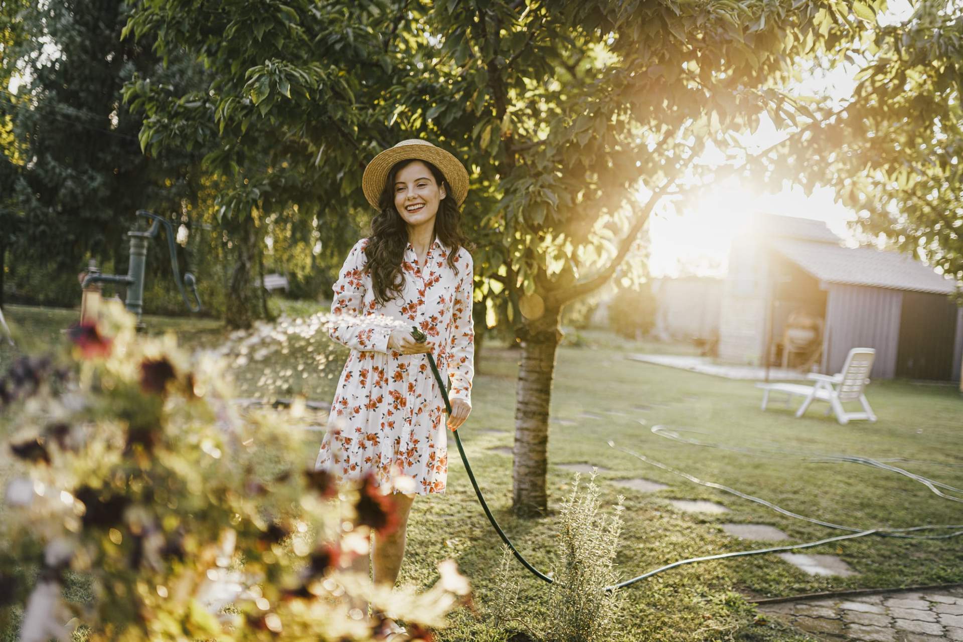 Quando annaffiare le tue piante? Il momento migliore è questo — Giardino e terrazza