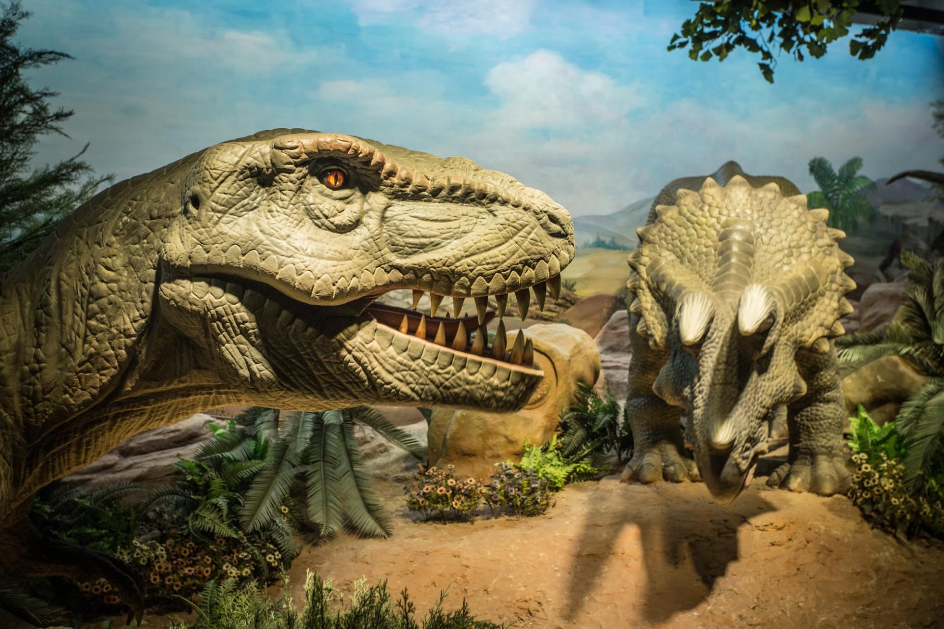 Wie haben sich Dinosaurier gepaart? Die Fortpflanzung war keine einfache Sache — Freizeit