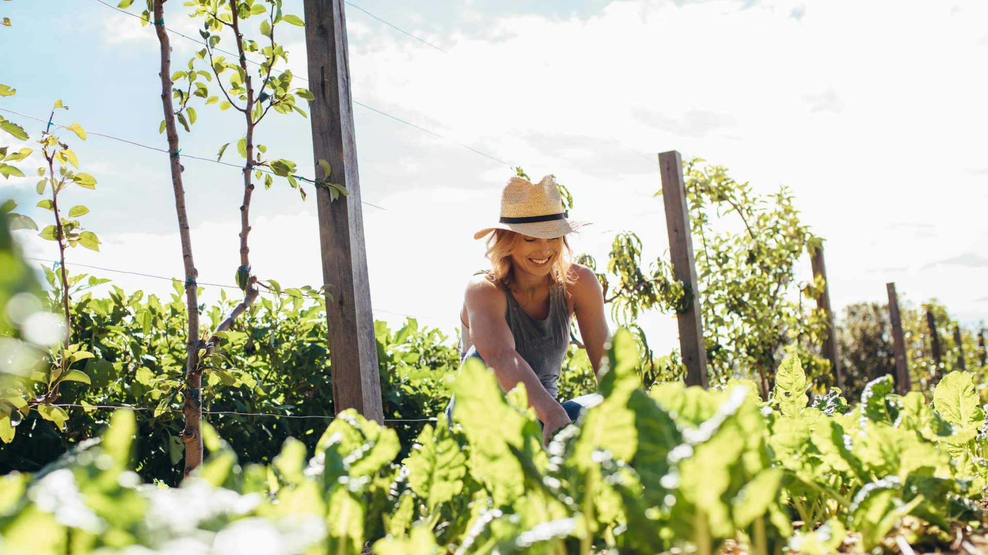 „Genug davon, einen auszureißen und zehn andere wachsen nach!“ Die 5 besten Methoden zur Unkrautbekämpfung — Garten & Terrasse
