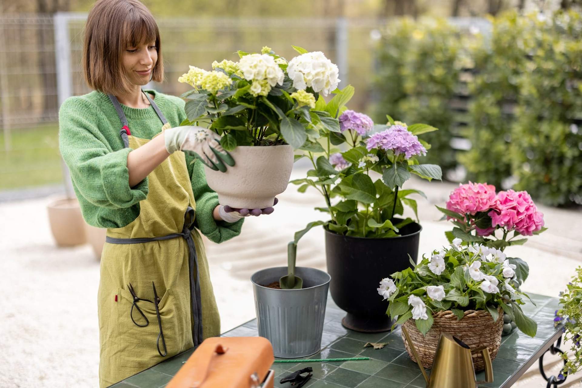 7 fleurs vertes qui feront de votre jardin un vrai trésor — Jardin et terrasse