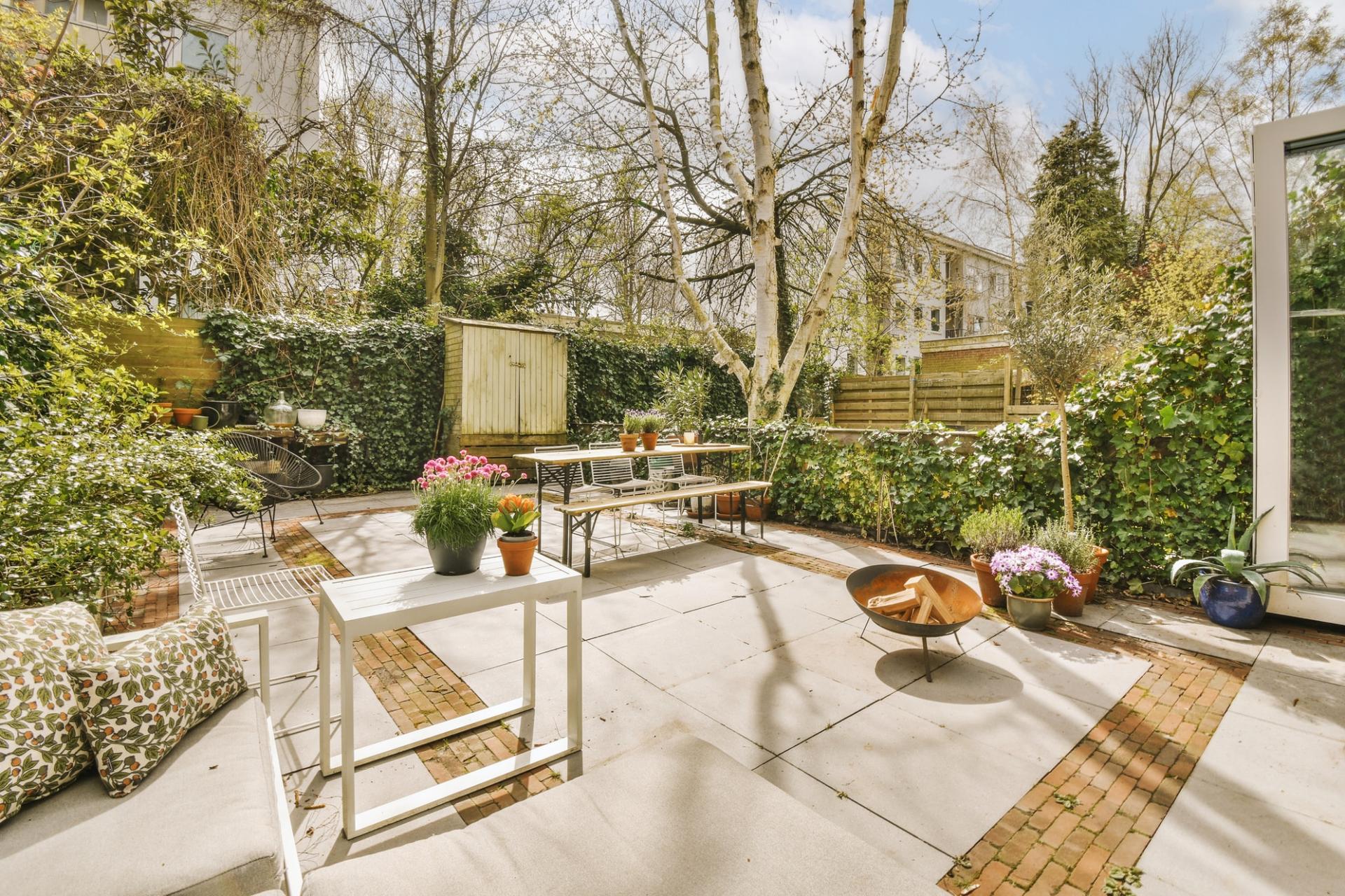 Un jardín solo para vosotros: 6 plantas que aportan paz y privacidad — Jardín y terraza