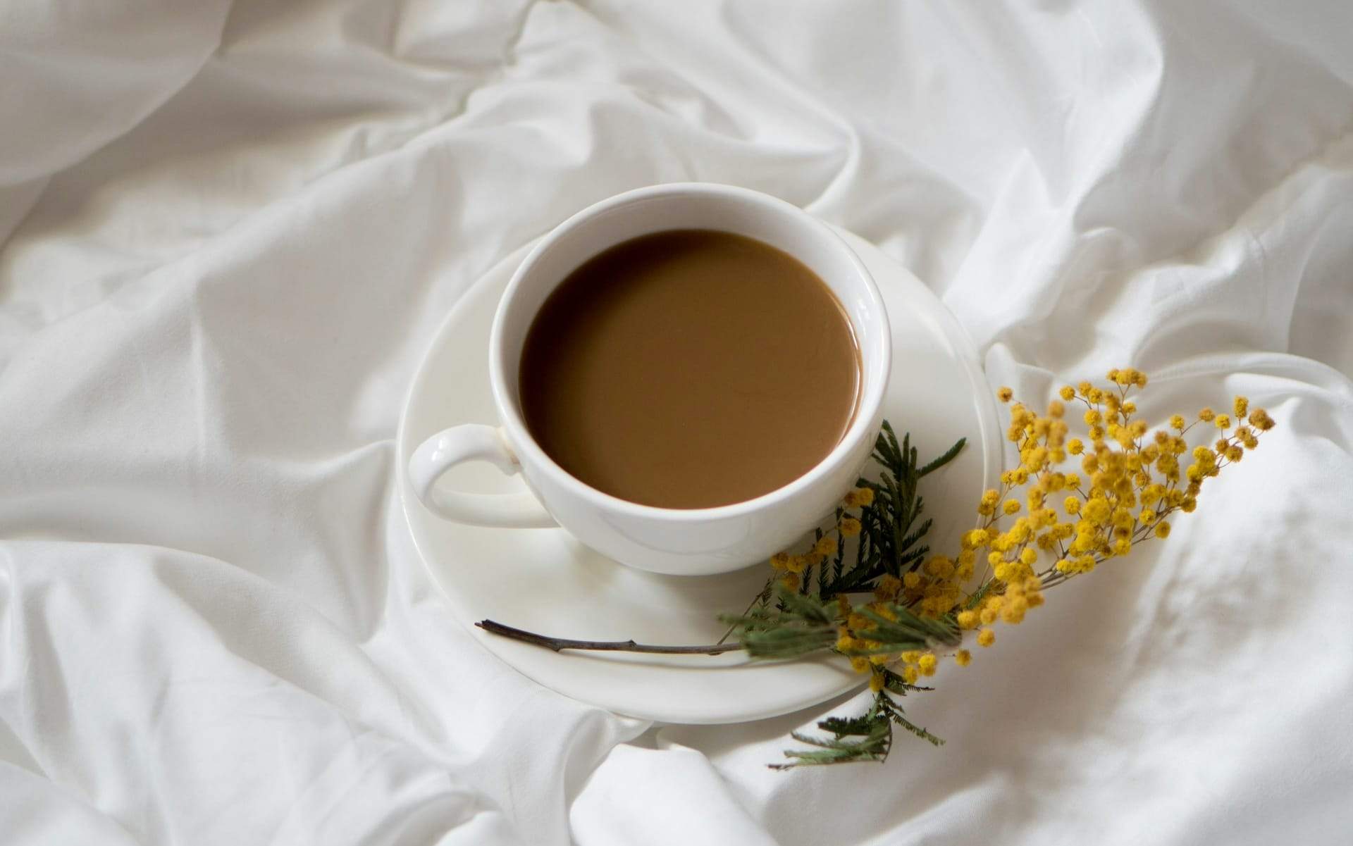 Trinkst du Kaffee auf nüchternen Magen? Das passiert deinem Körper dabei — Lebensstil