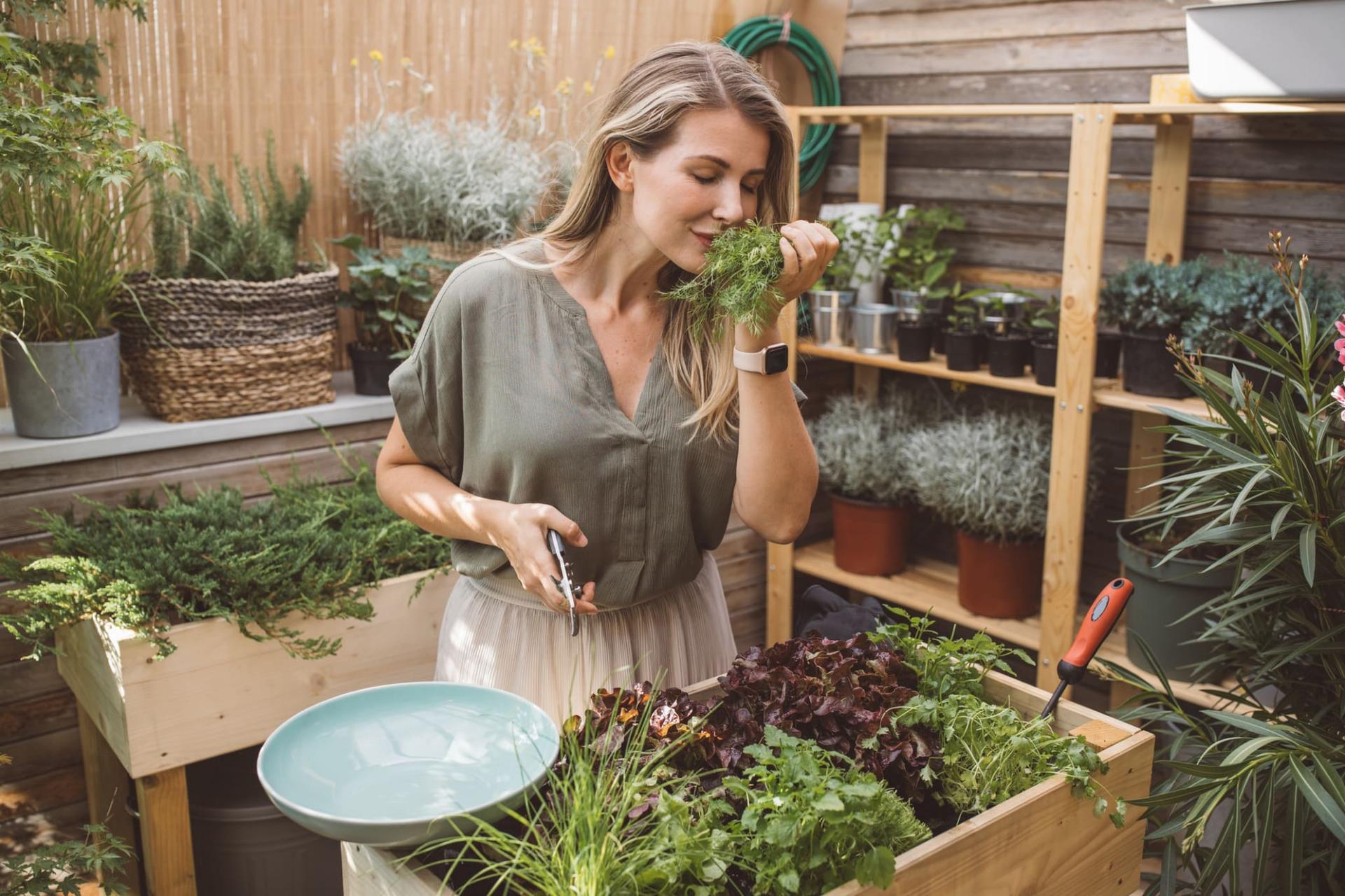 Welche Kräuter passen zusammen? Begleitpflanzung für den perfekten Kräutergarten — Garten & Terrasse