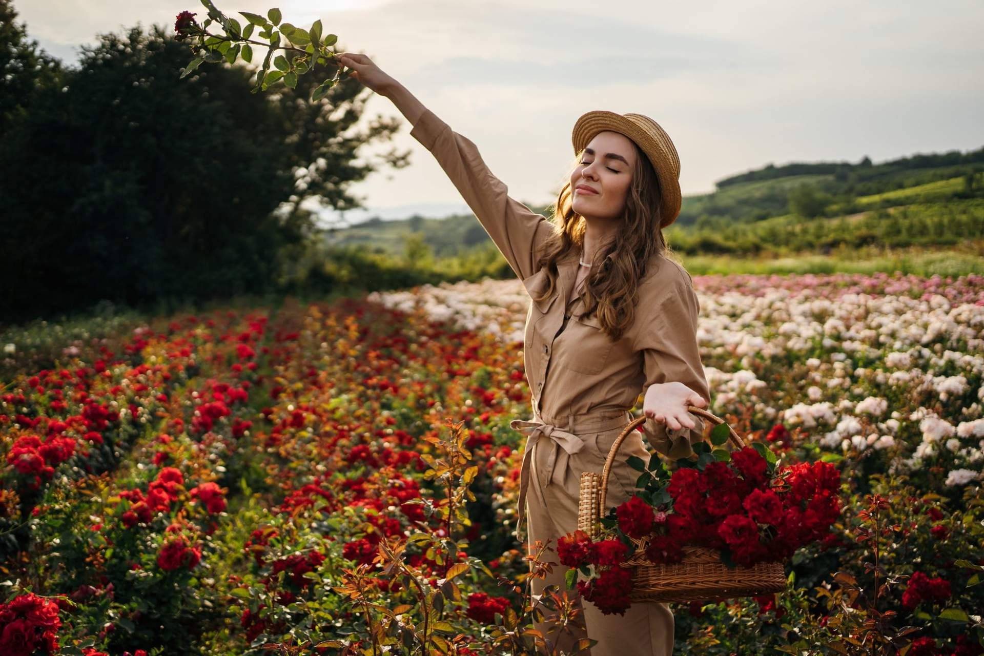 So blüht deine Rose den ganzen Sommer über wunderschön – bewährte Tricks für dauerhafte Blütenpracht — Garten & Terrasse