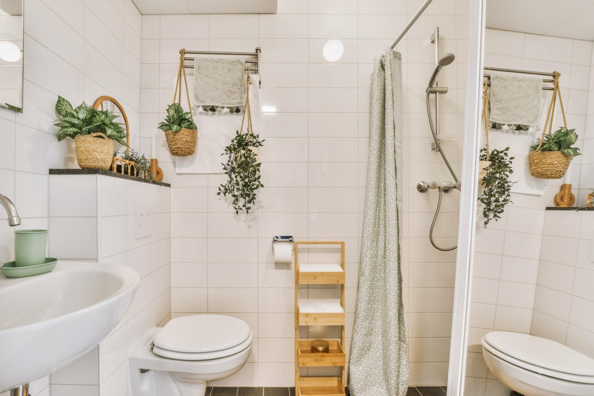 Darum solltest du nicht mit offenem WC-Deckel duschen — Gesundheit