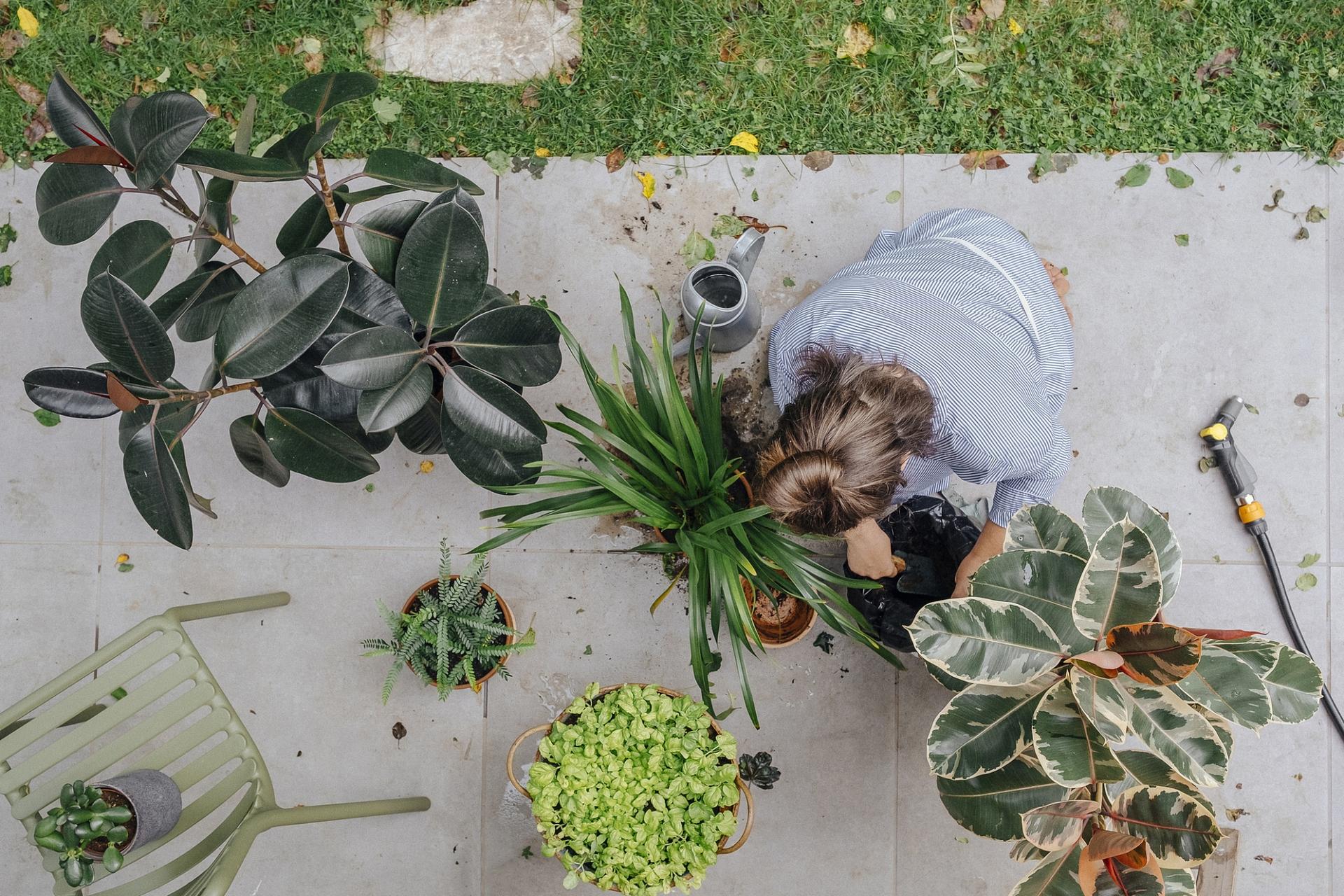 Ce qu’il faut savoir avant d’ajouter du marc de café à votre terreau — Jardin et terrasse