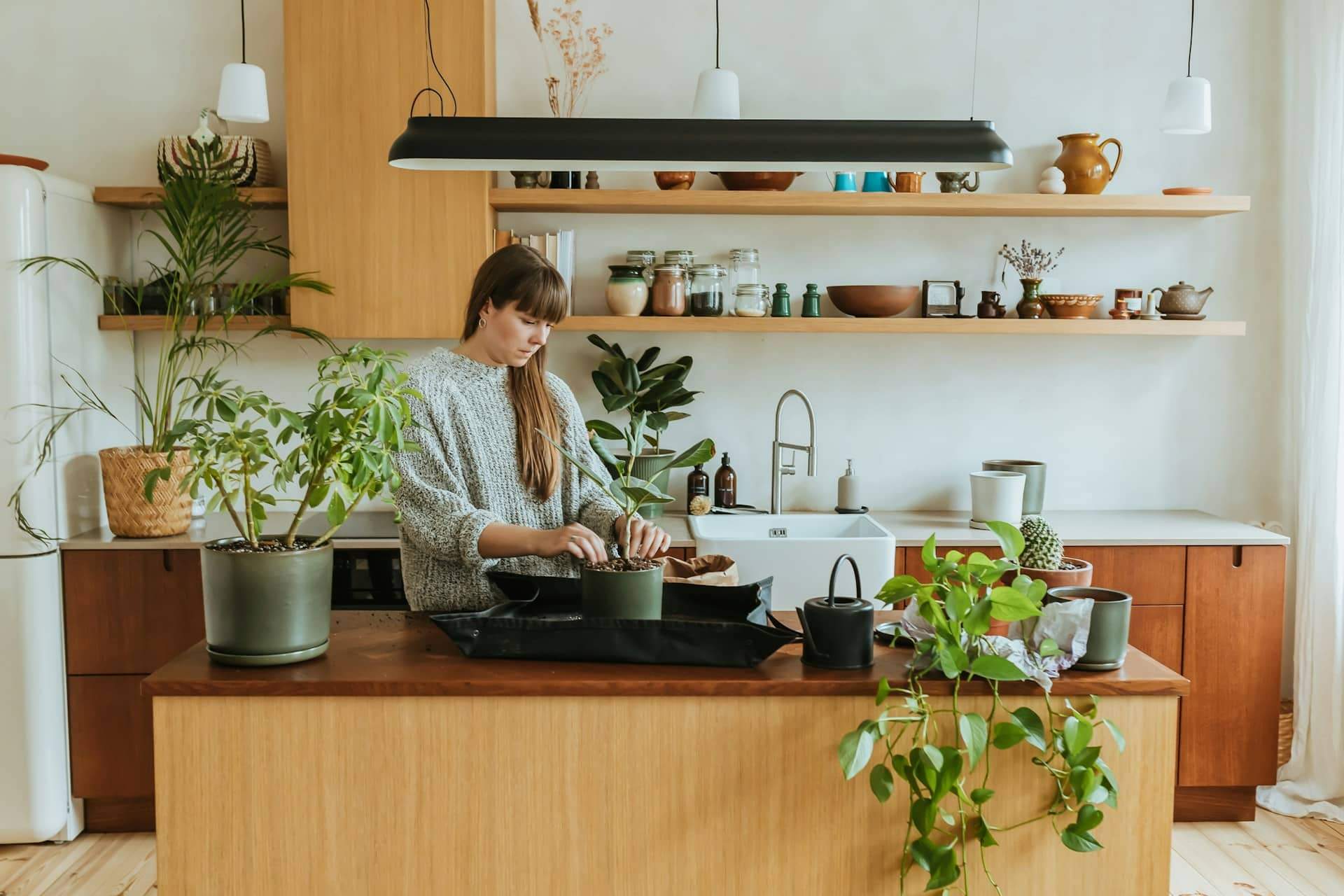 Surveillez ces 5 signes - ils vous montreront si votre plante d'intérieur est bien placée ! — Décoration