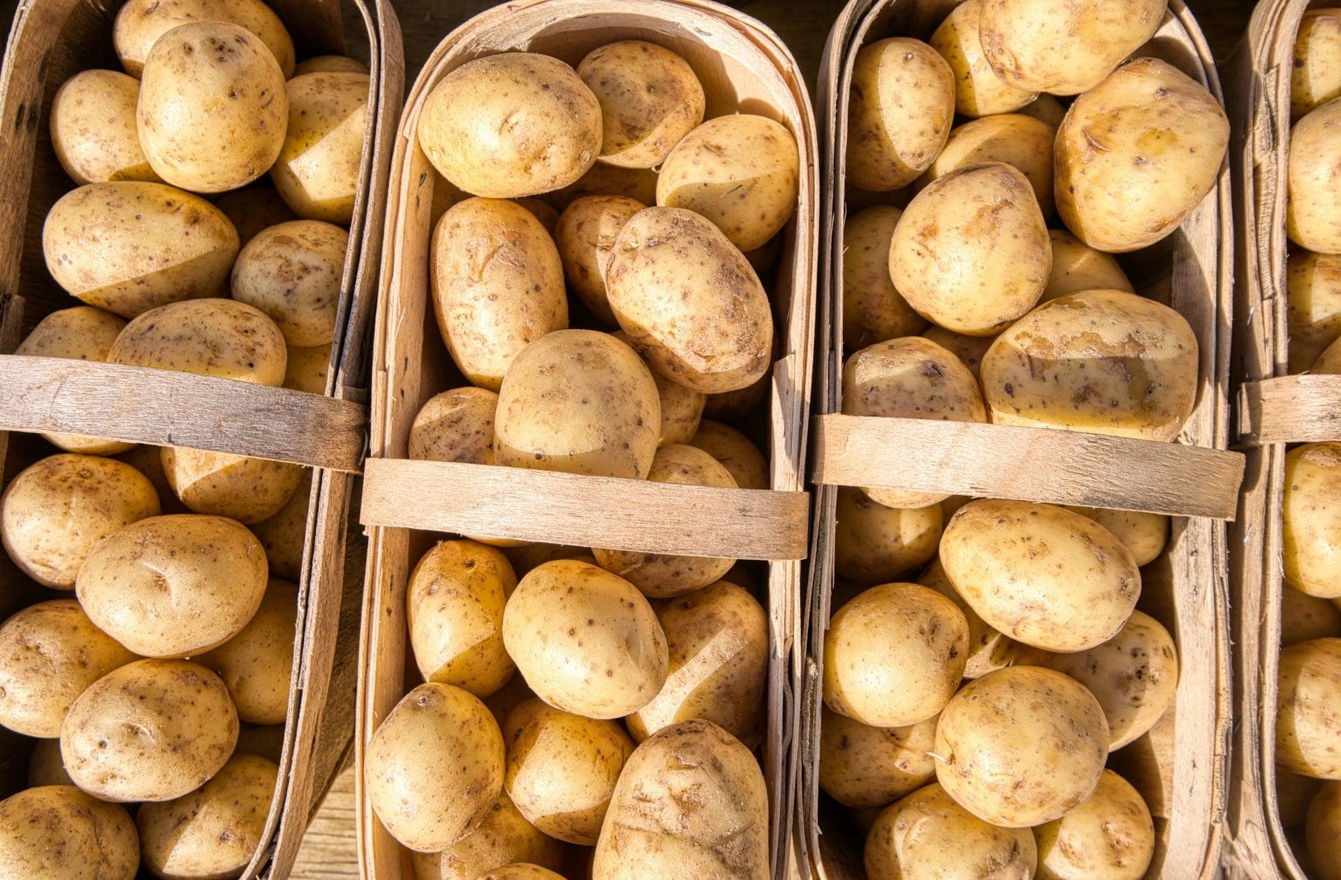 Never eat these foods raw — they can seriously harm you — Lifestyle
